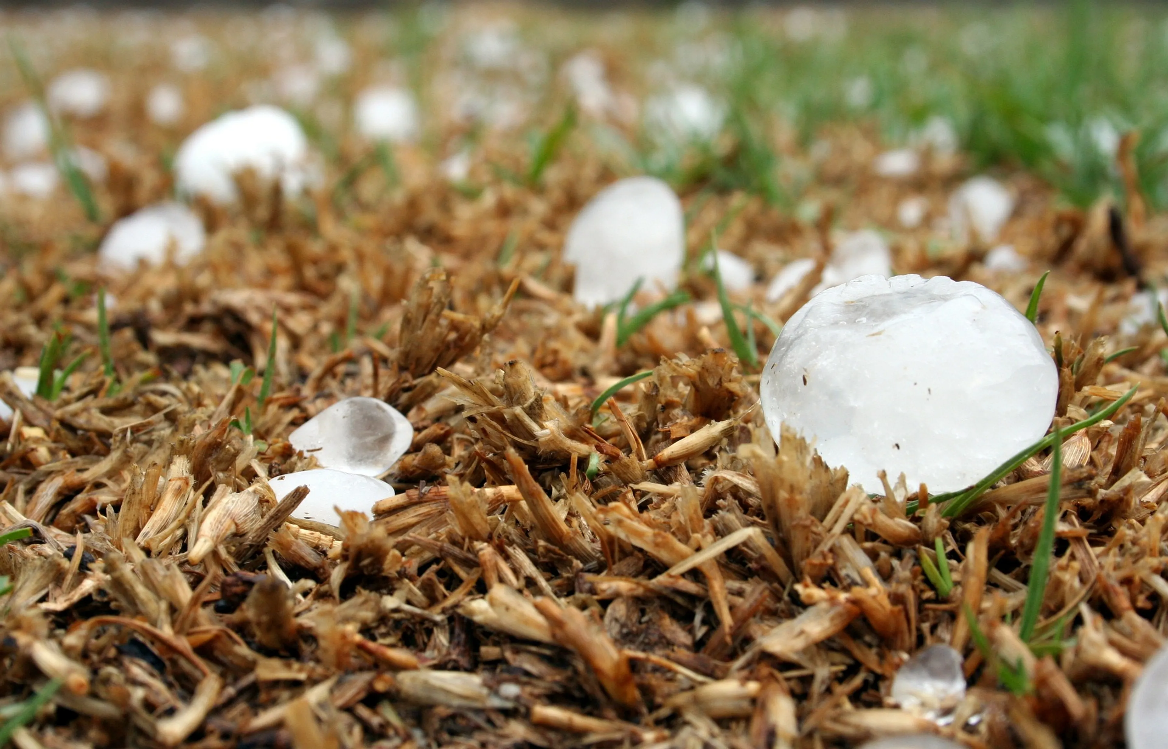 Het wordt een wisselvallig weekend: buien met hagel, maar ook ruimte voor zon