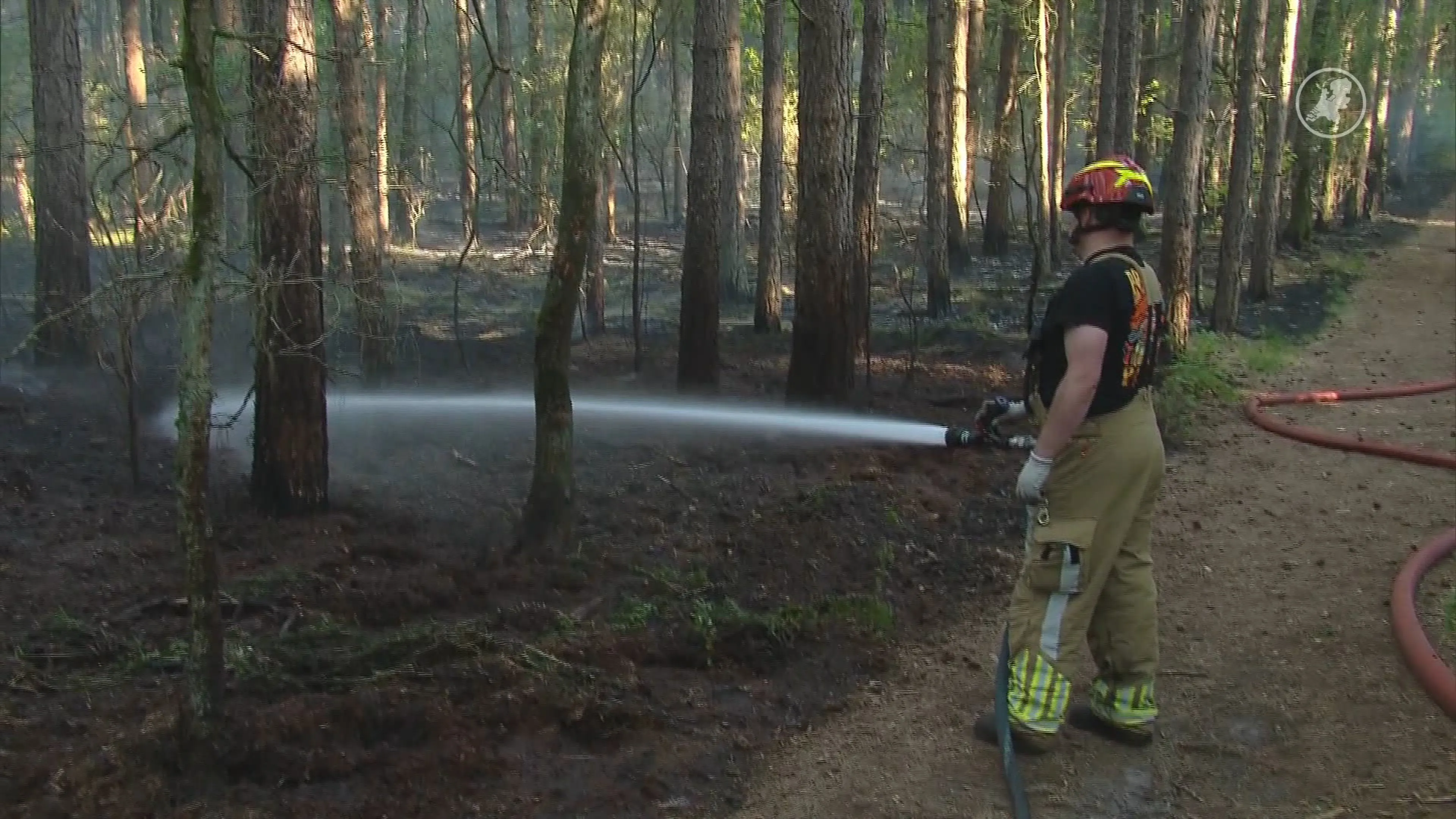 Grote natuurbrand in Helden