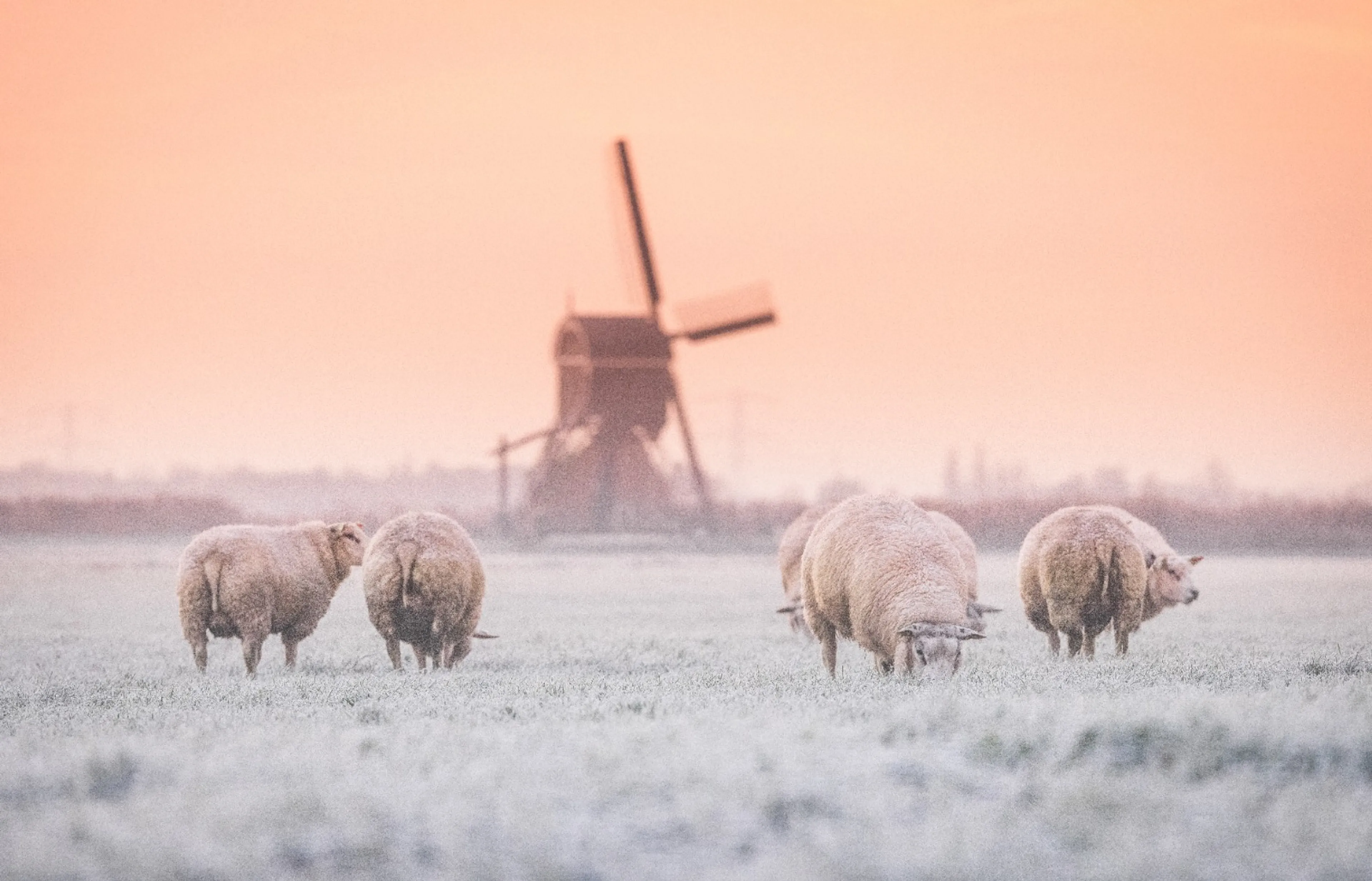 Gevoelstemperatuur: waarom lijkt het veel kouder dan dat het eigenlijk is?