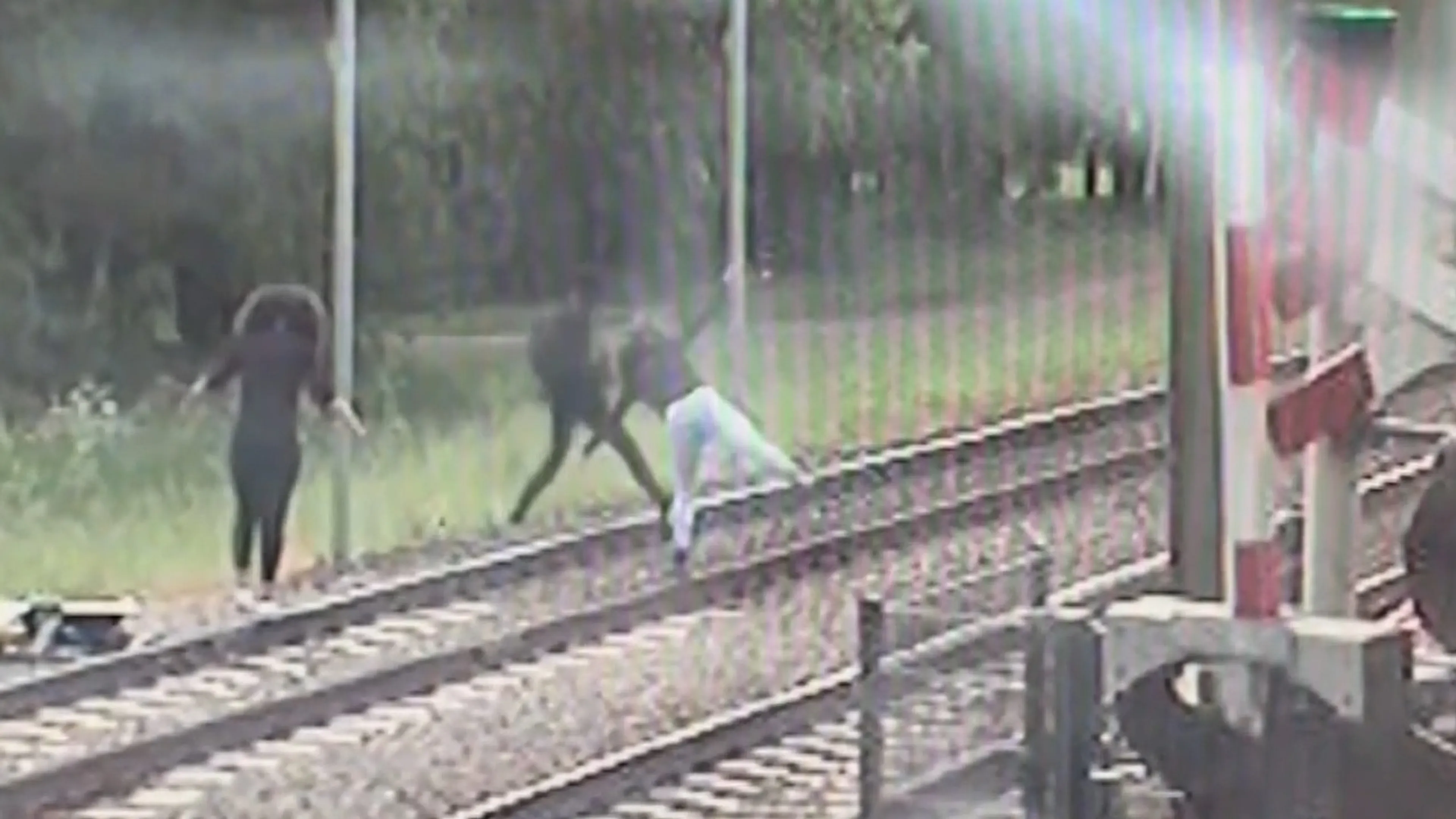 ProRail ziet steeds meer mensen op spoor lopen: 'Zelfs spelende kinderen, je schrikt je rot'