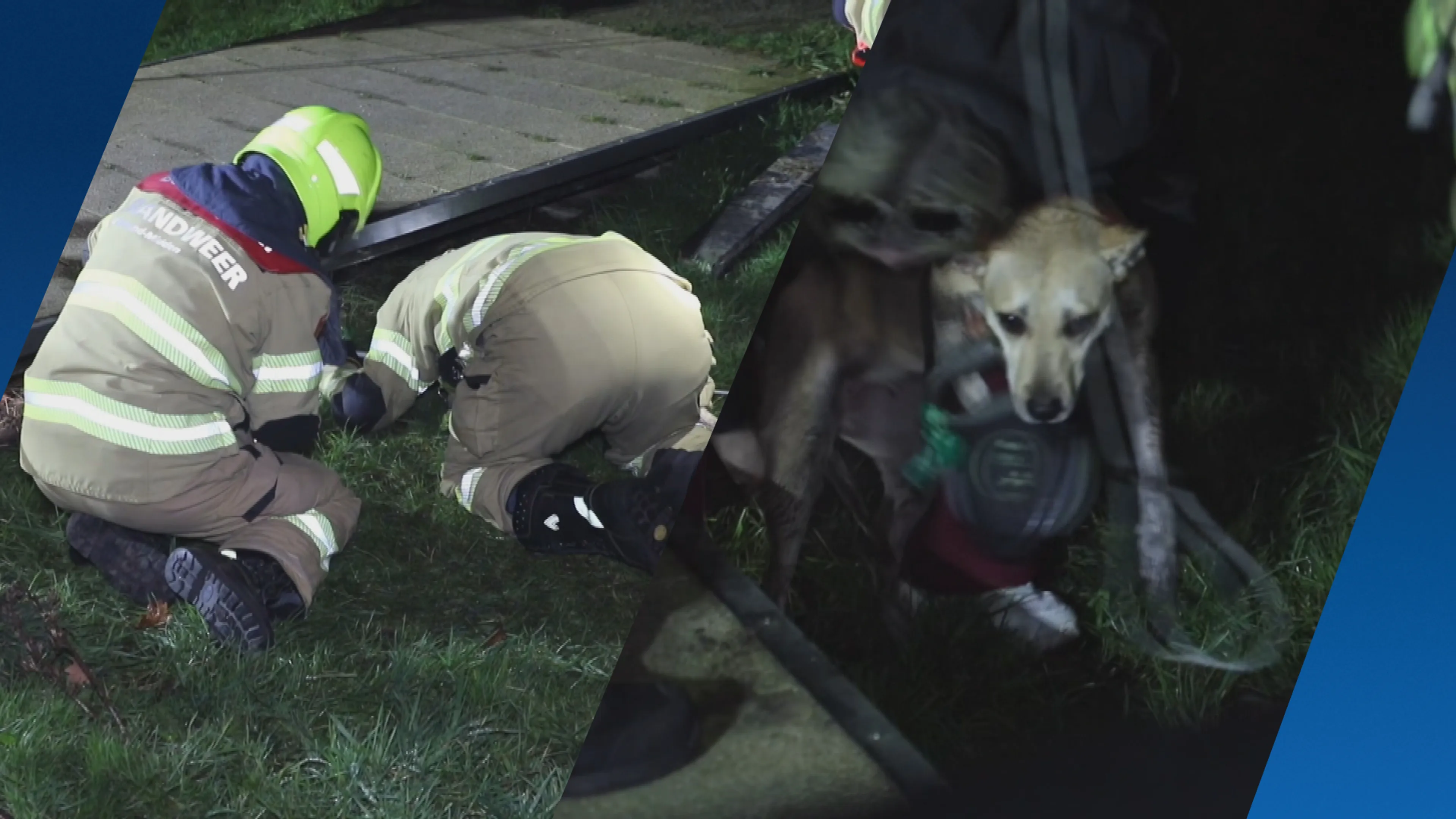 Brandweer in actie voor doodsbange hond door vuurwerk