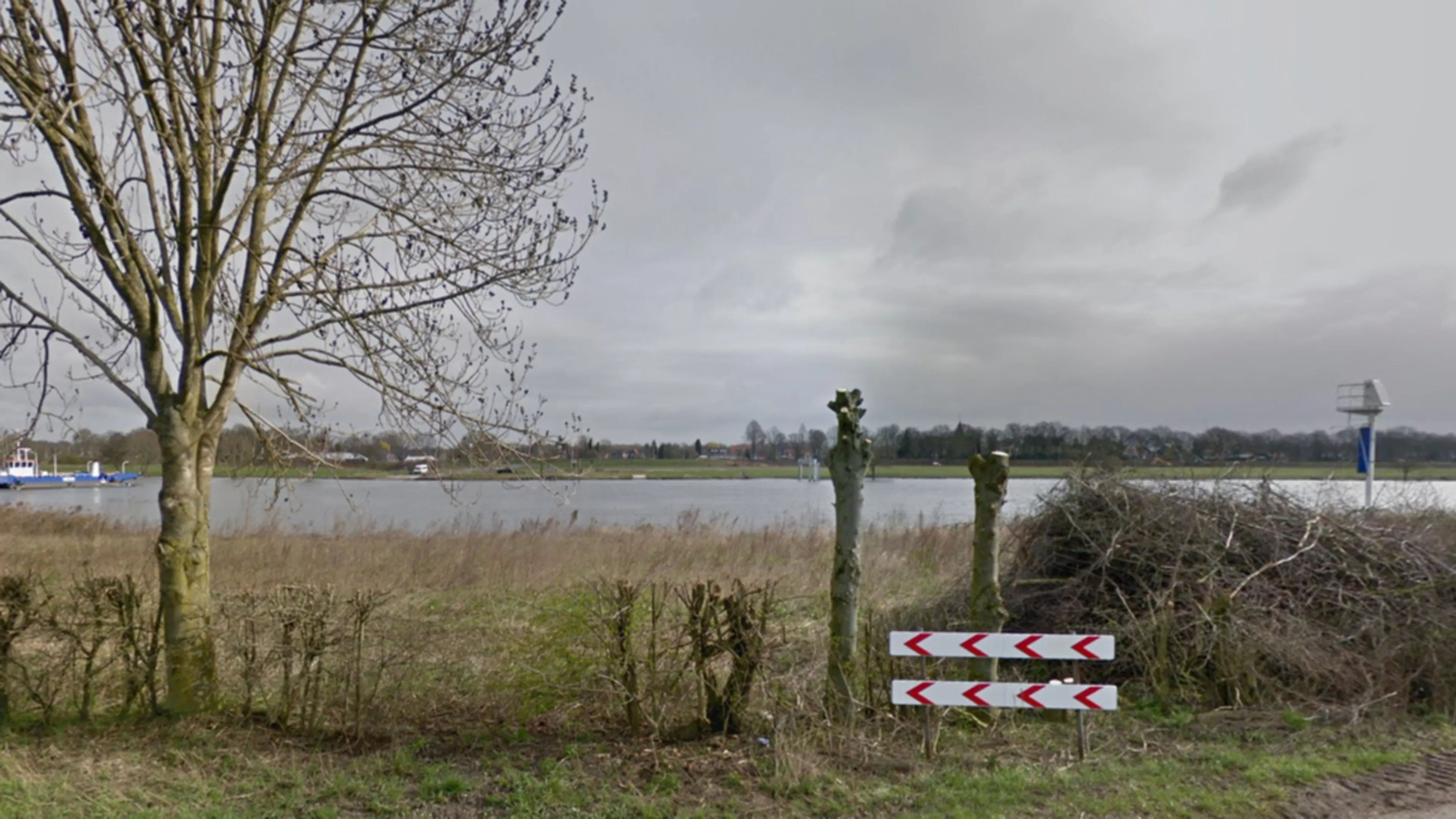 Hond in staat van ontbinding gevonden, politie start zoektocht naar baasje