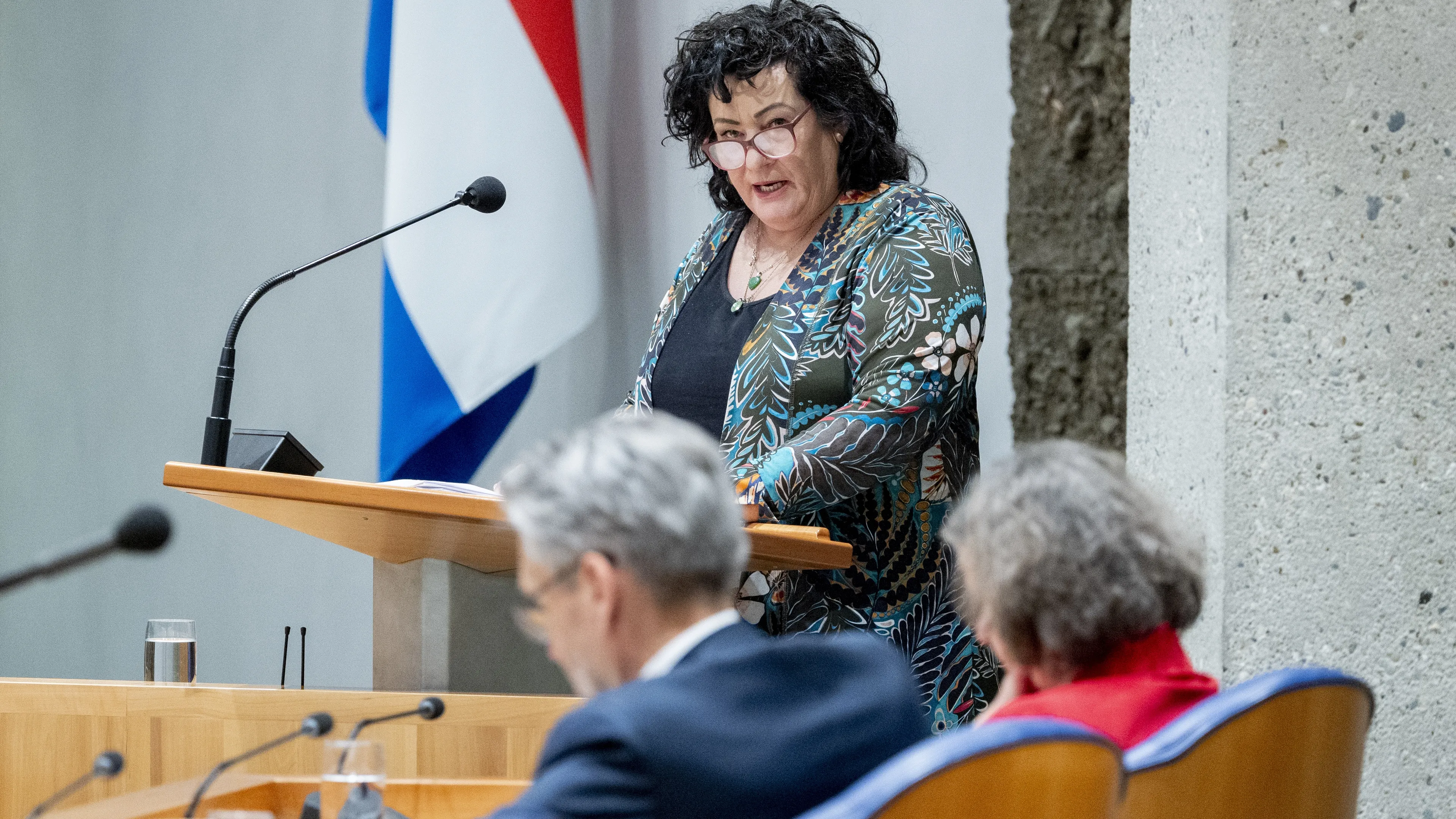 Caroline van der Plas ziet in lintjesdebat 'poging kabinet te beschadigen'