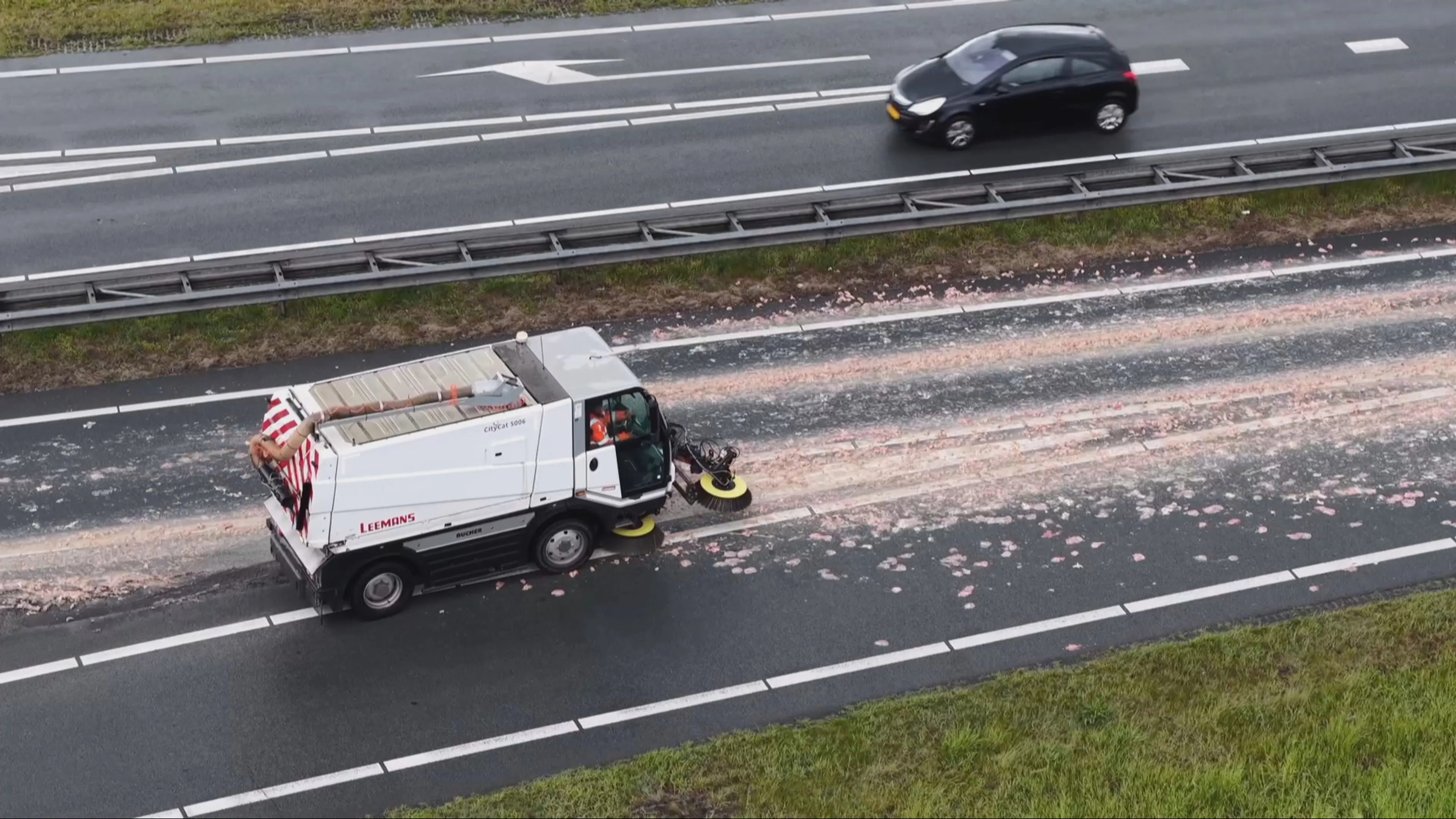 Ravage op N36 bij Almelo: weg bezaaid met slachtafval