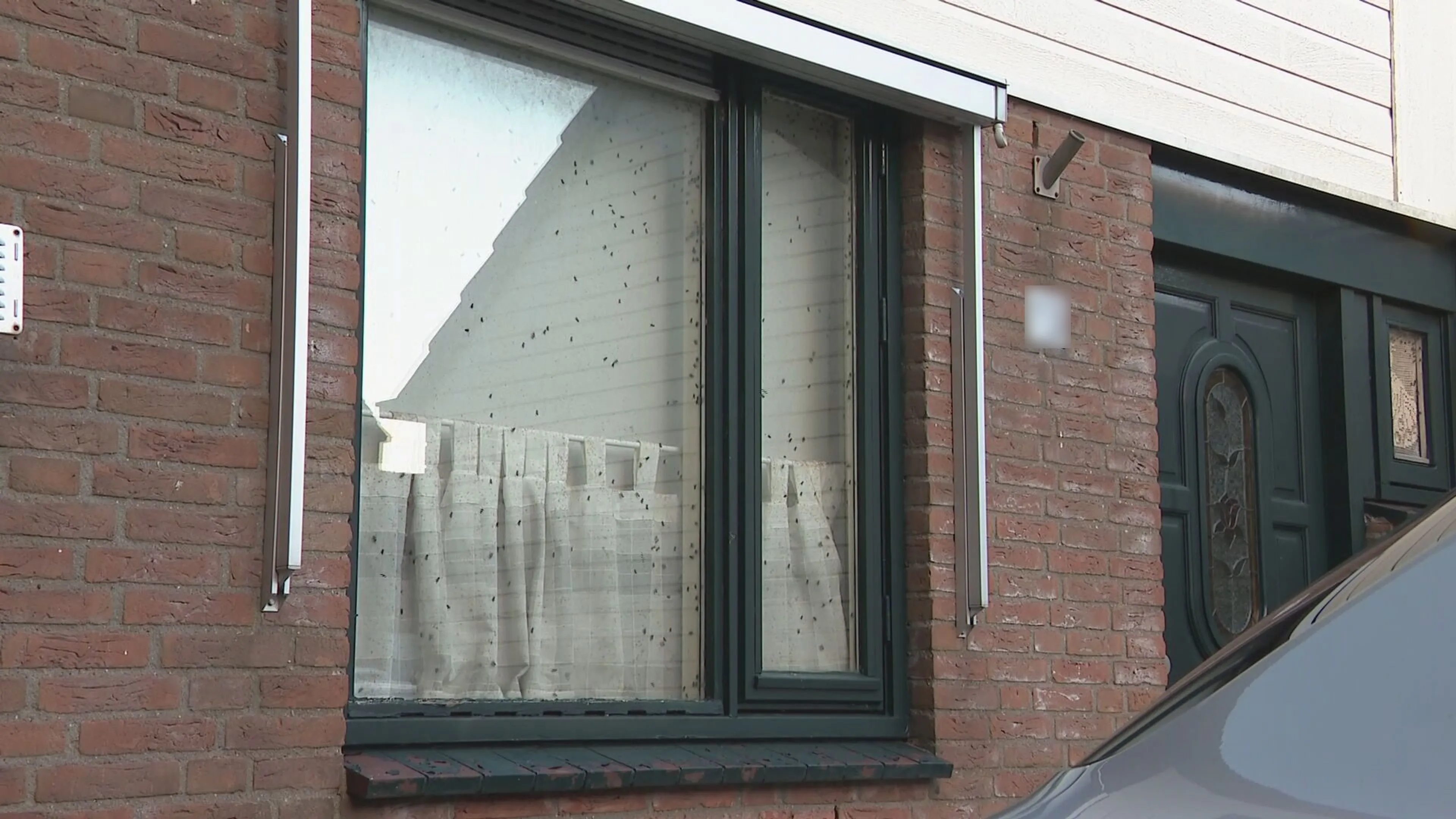Buurman (53) ligt wekenlang dood in huis, buurt gebukt onder stank en vliegen
