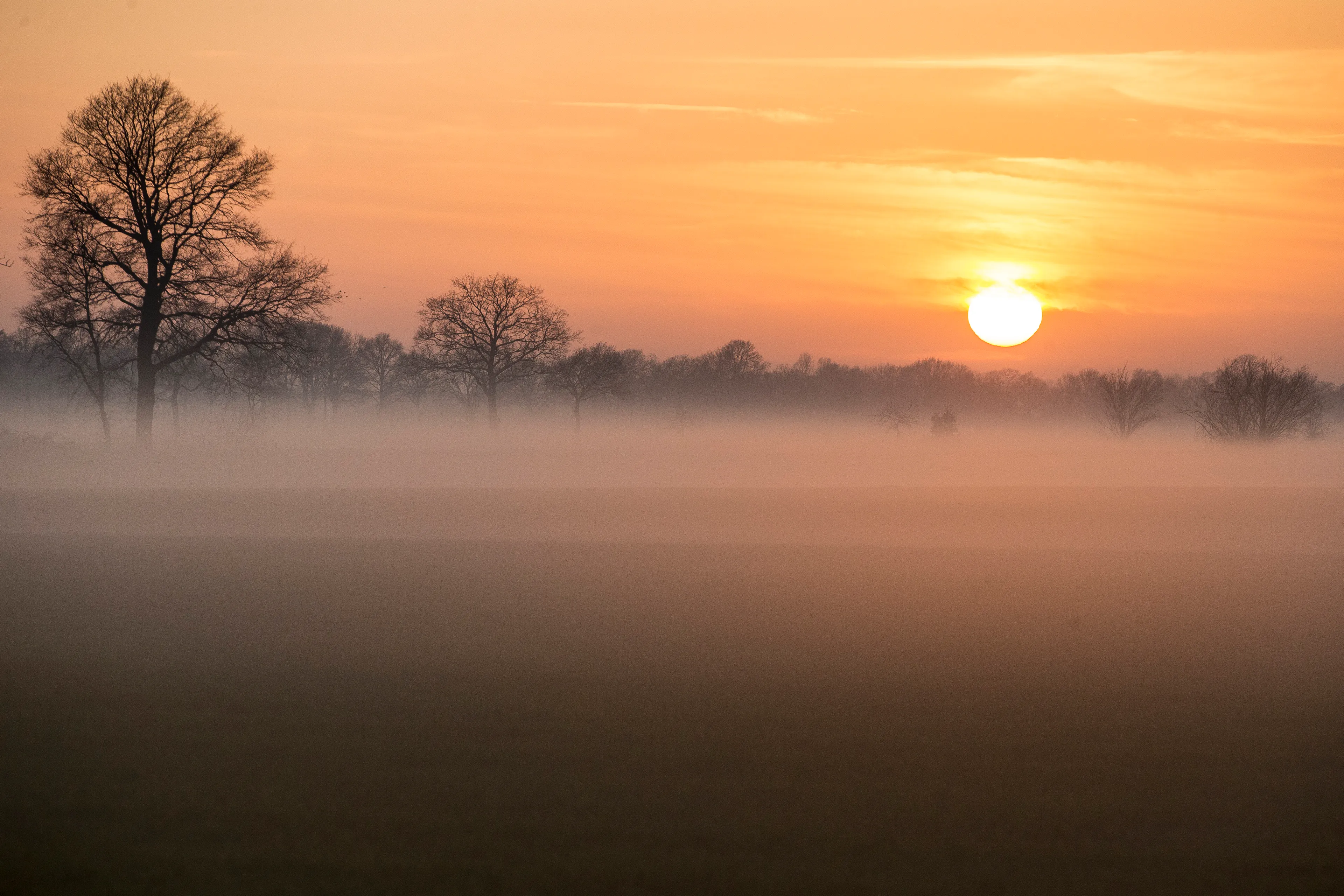 Warmste decembernacht ooit gemeten, maar het wordt nóg warmer