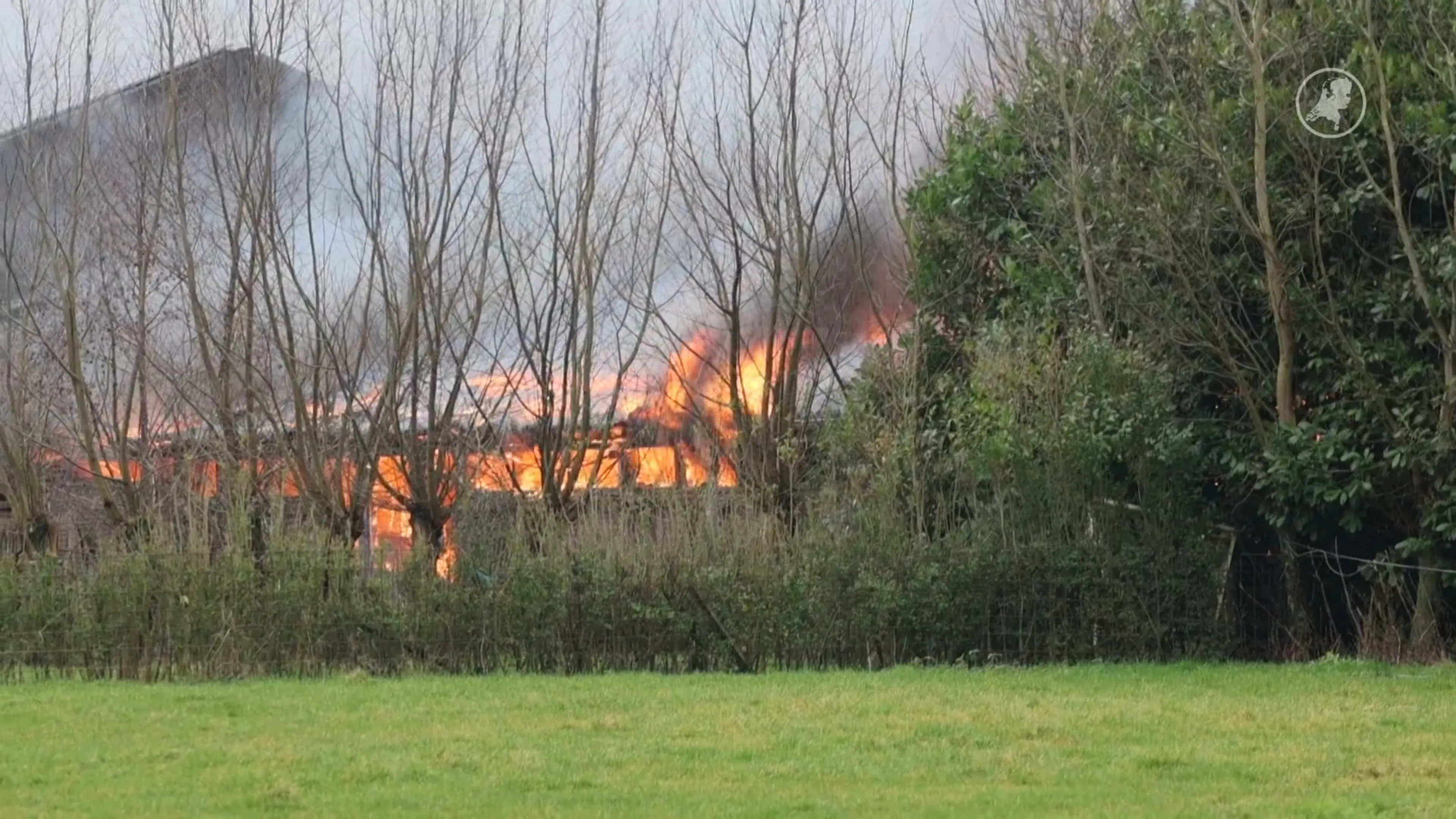 Dertig koeien omgekomen bij grote stalbrand in Kockengen
