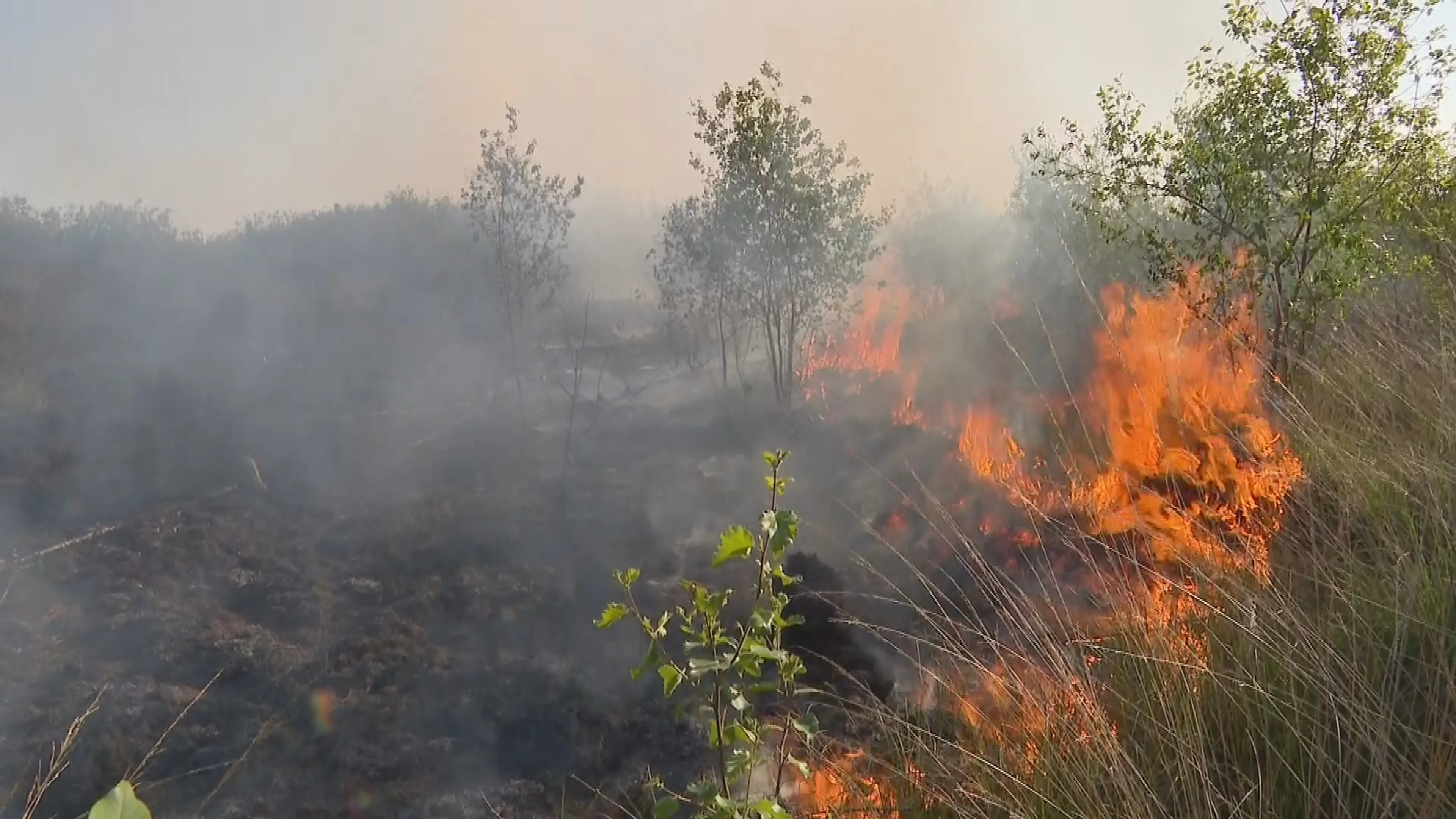 Grote natuurbrand in Limburg, wind jaagt vlammen over uitgedroogde heide