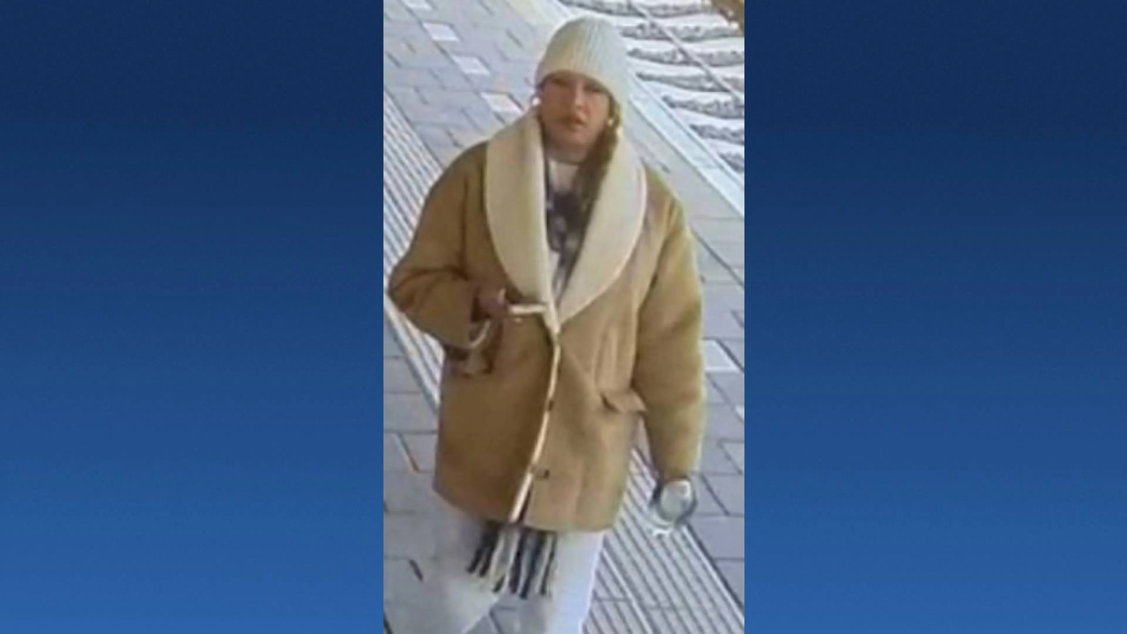 Politie zoekt vrouw die jongen (17) seksueel lastigviel in trein bij Eindhoven