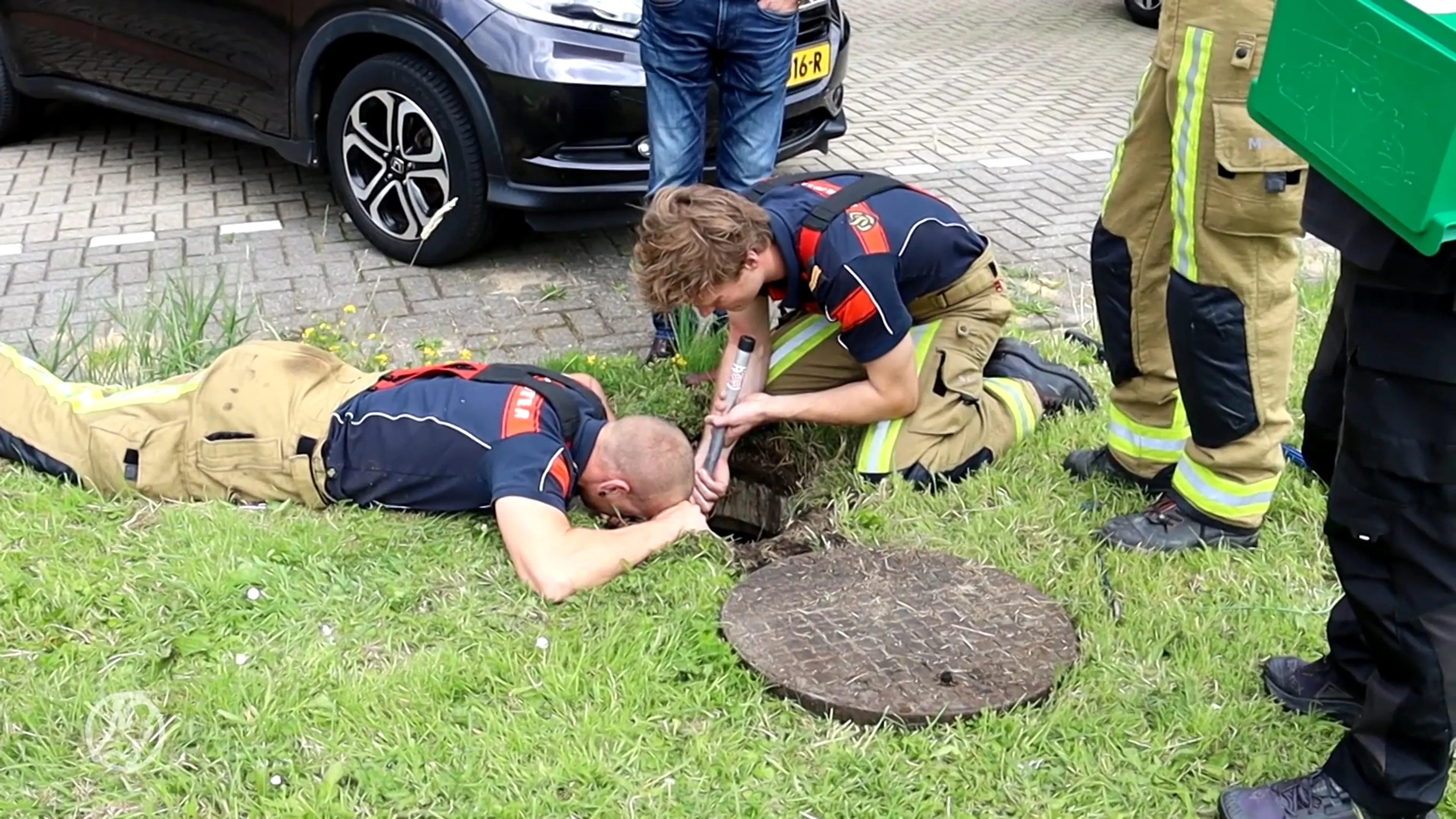 Brandweer haalt meerhoentjes_uit put in Velserbroek