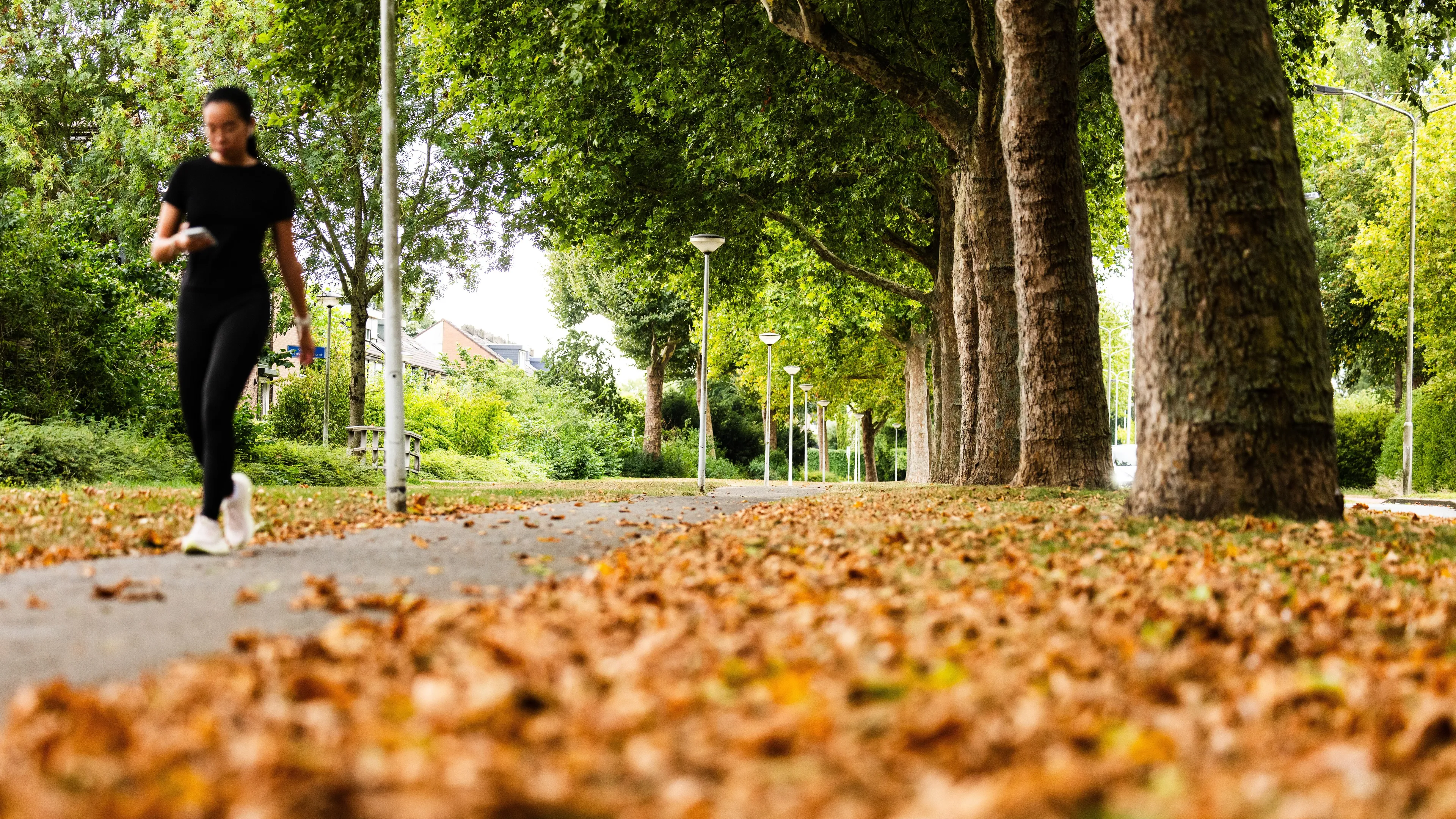 Grijs herfstweer houdt aan, maar zonnige dagen staan voor de deur