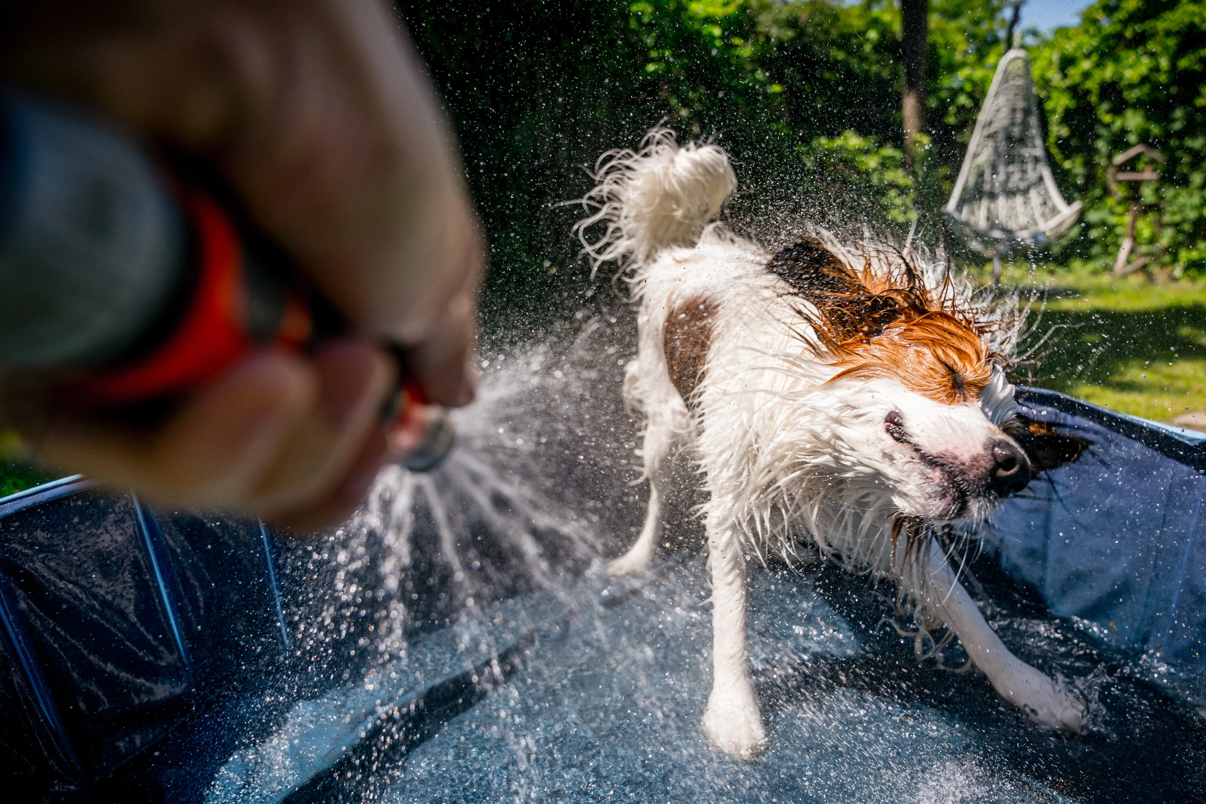 Zomerse week vandaag van start: temperaturen schieten omhoog