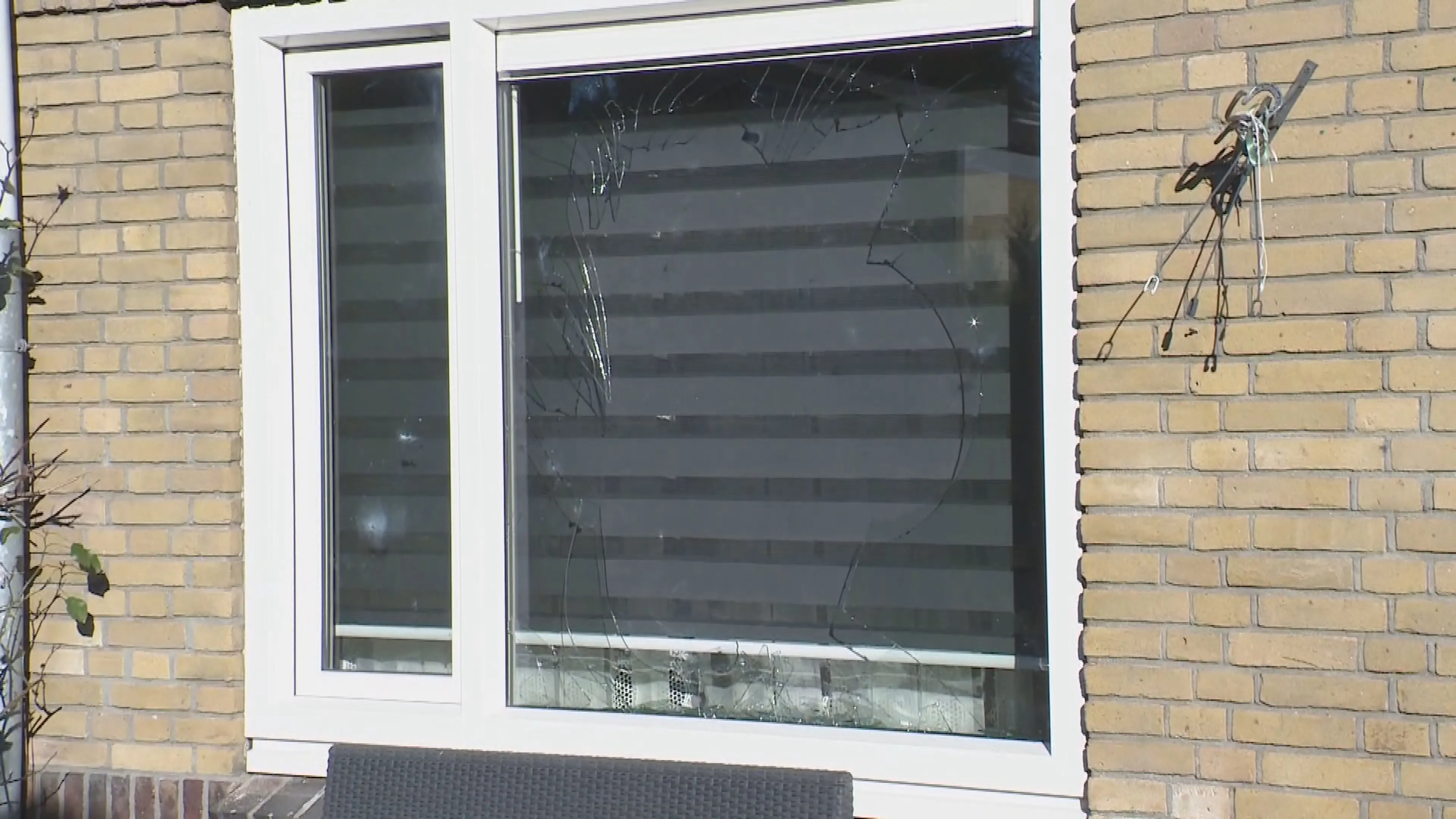 Explosief gaat af bij huis Zwolle, bewoonster in shock: 'Hele huis trilde'