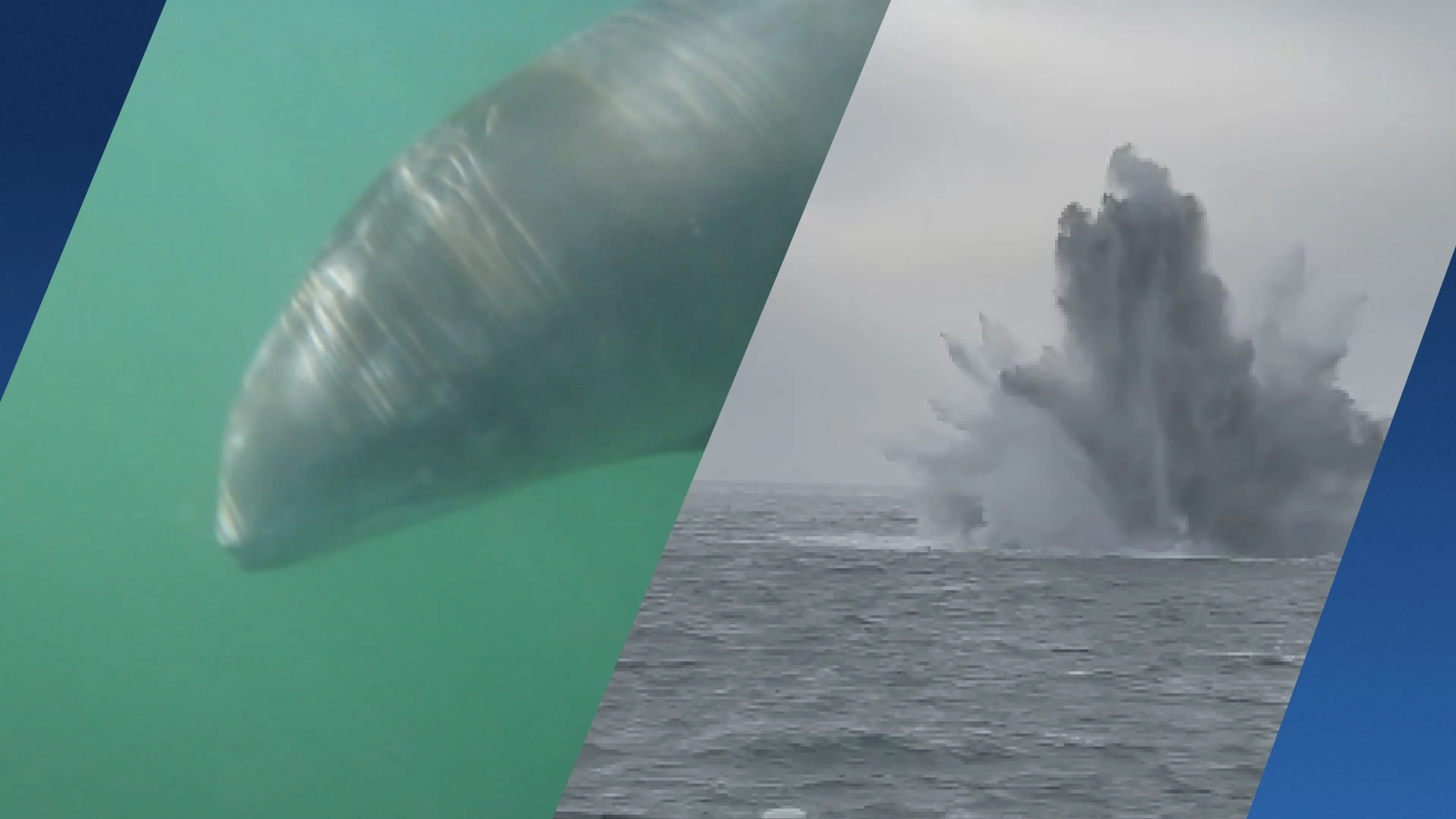 Bommen WO-II op Noordzee een bedreiging voor onze bruinvis?