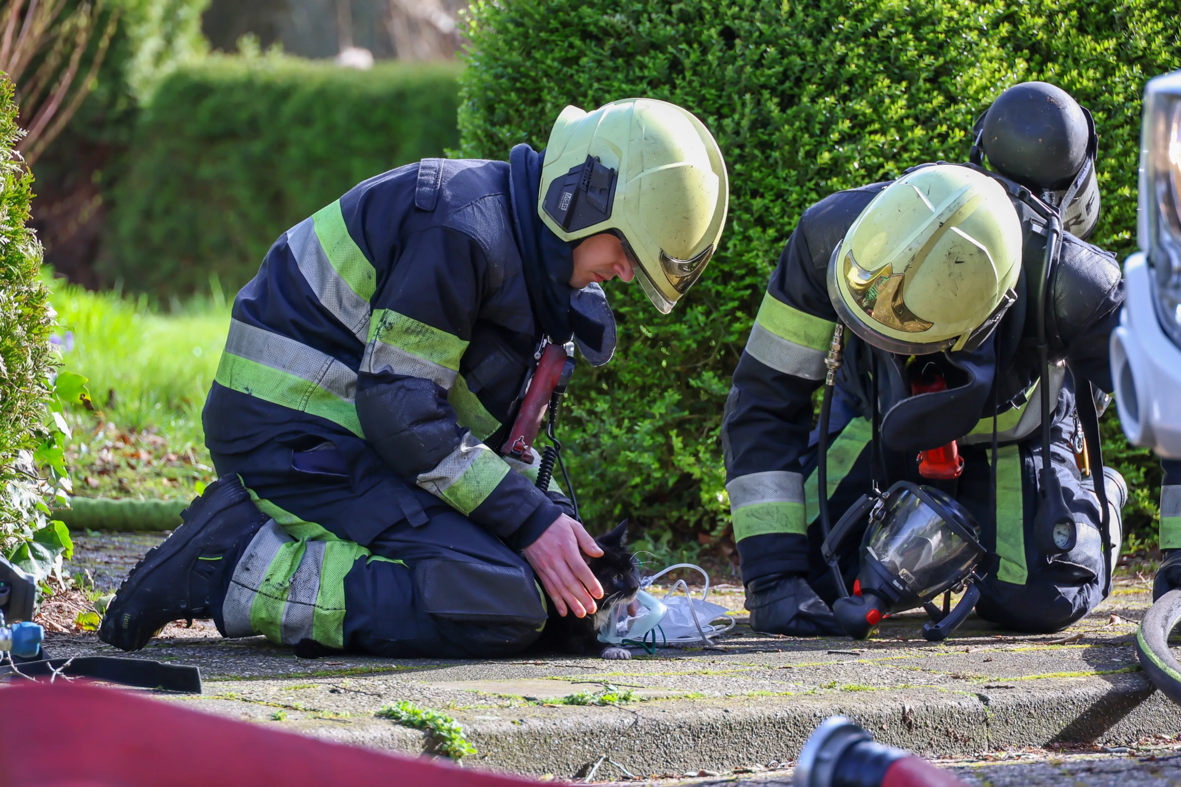 Kat gereanimeerd na brand in woning Menaldum