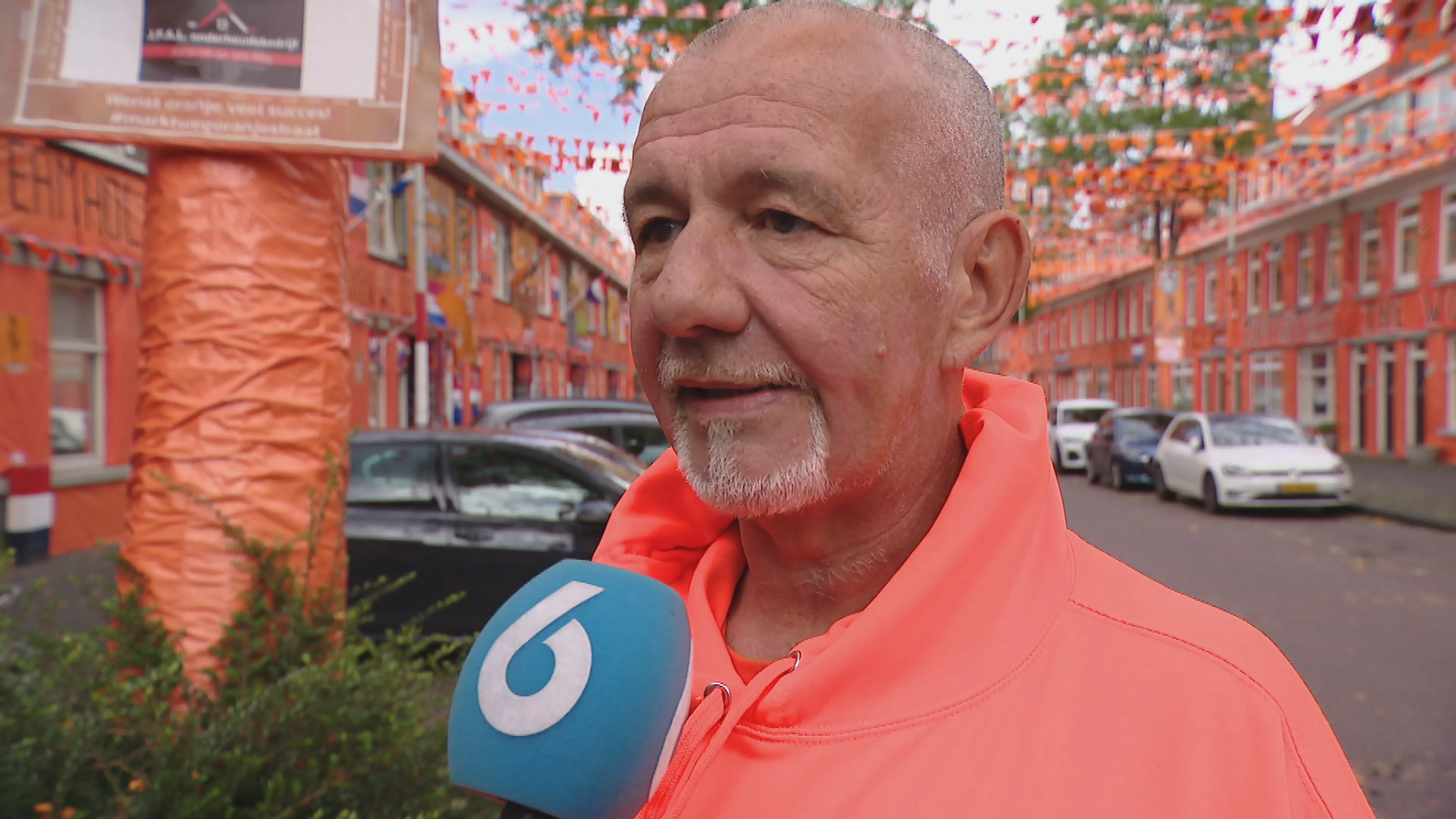 Dierenpartij wil versiering om bomen weg, Haagse Oranjestraat noemt het 'gelul'