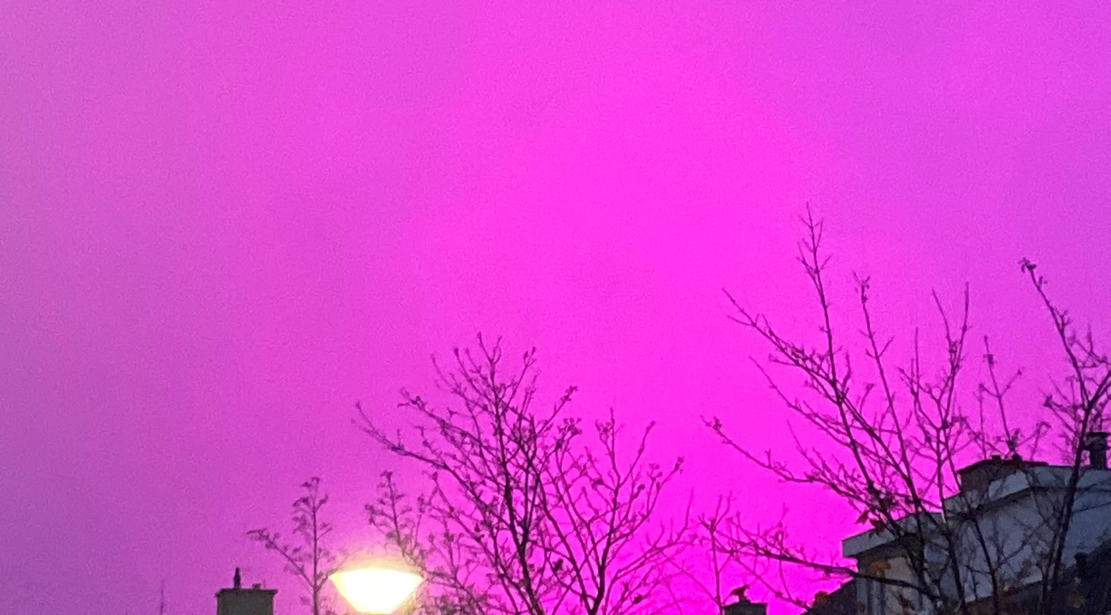 Magische felroze lucht boven Hoek van Holland en Westland: 'Alien-invasie in 3, 2, 1'