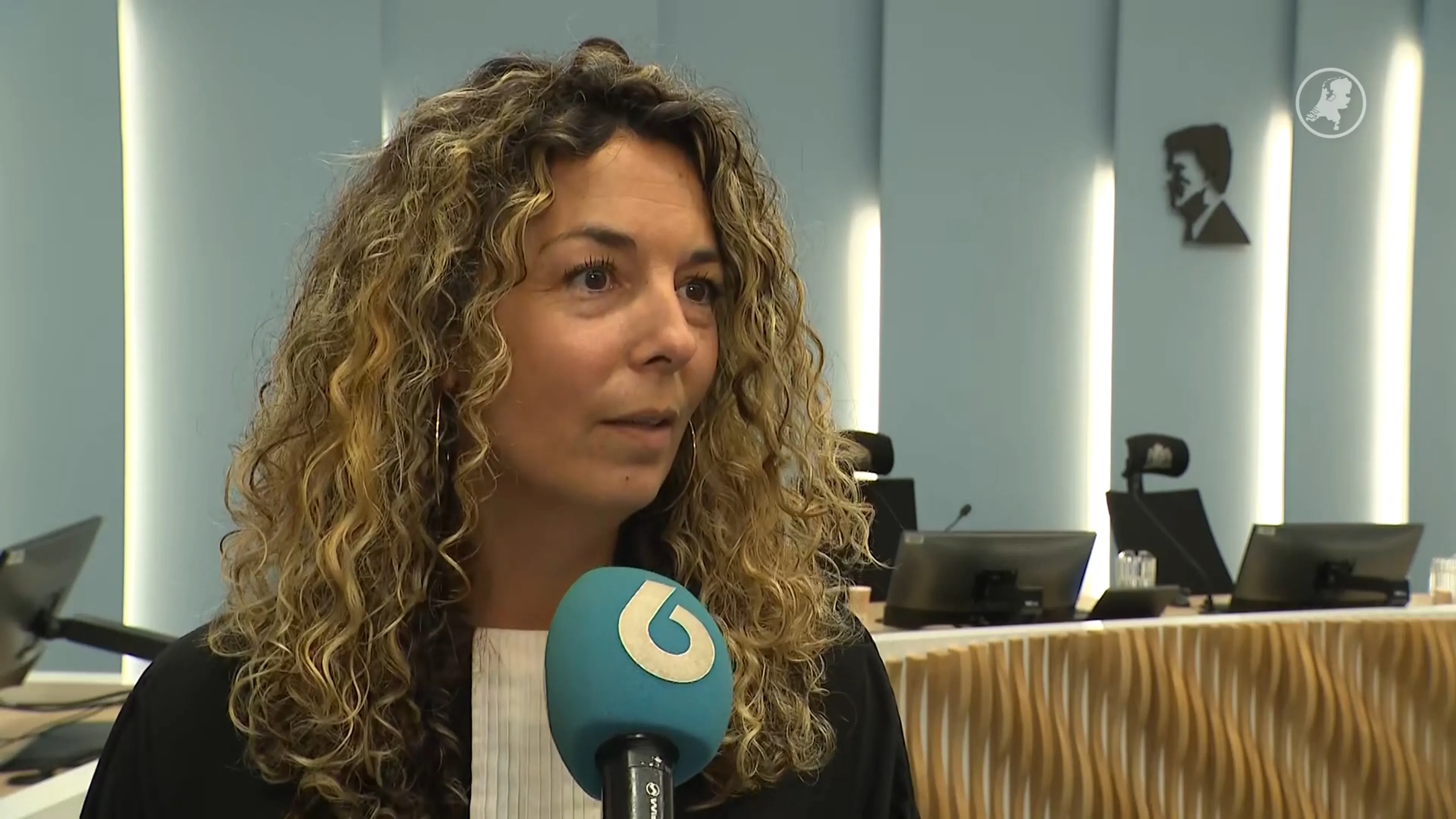 Celstraf en rijontzegging voor chauffeur die inreed op barbecue Nieuw-Beijerland