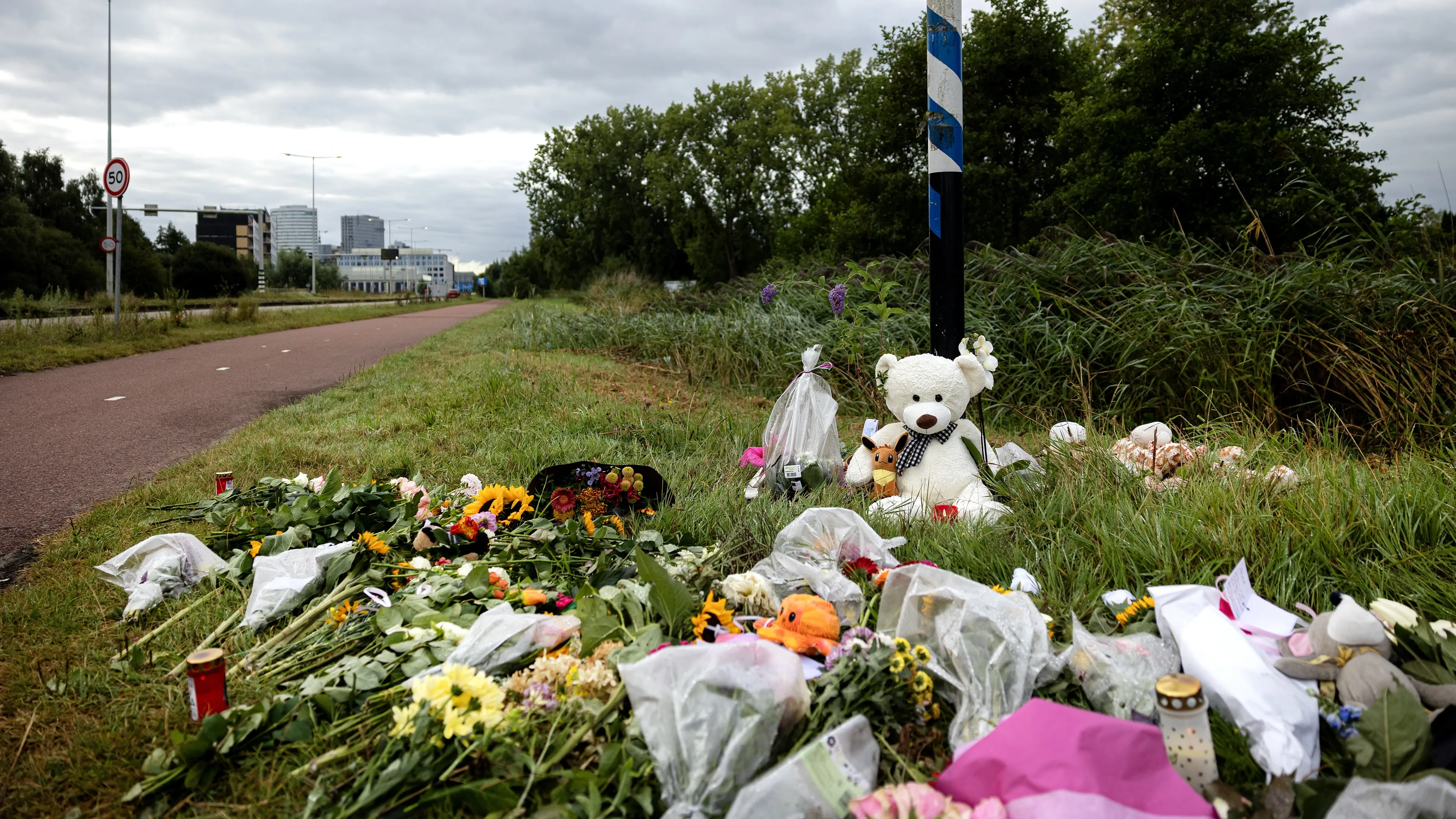 1700 agenten keken in dossier vermoorde Lisa (17): 'Onacceptabel'