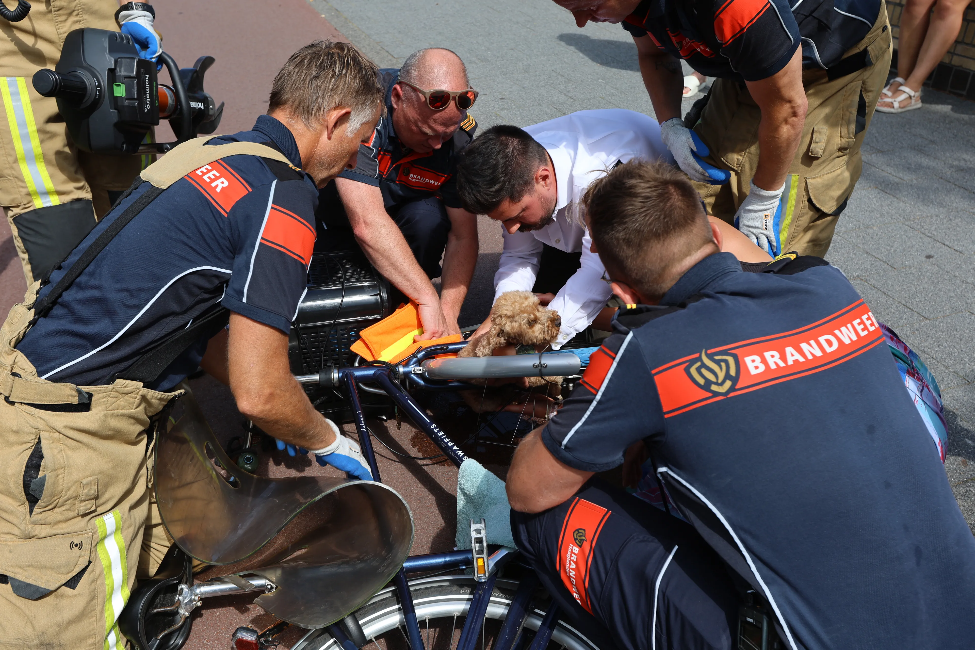 Fietstocht loopt spaak, hond vast in voorvork