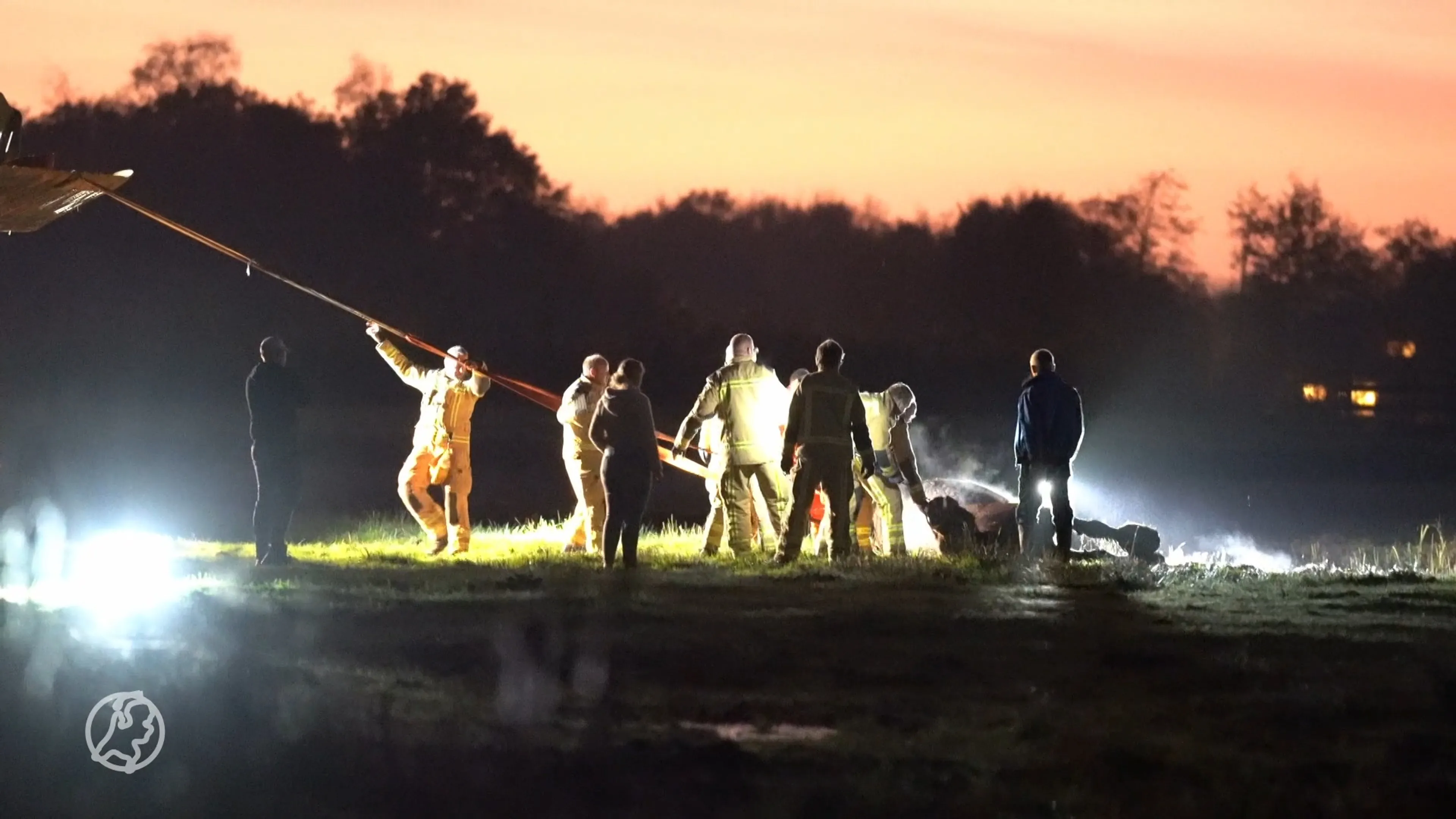 Brandweer redt paard uit sloot in Haren