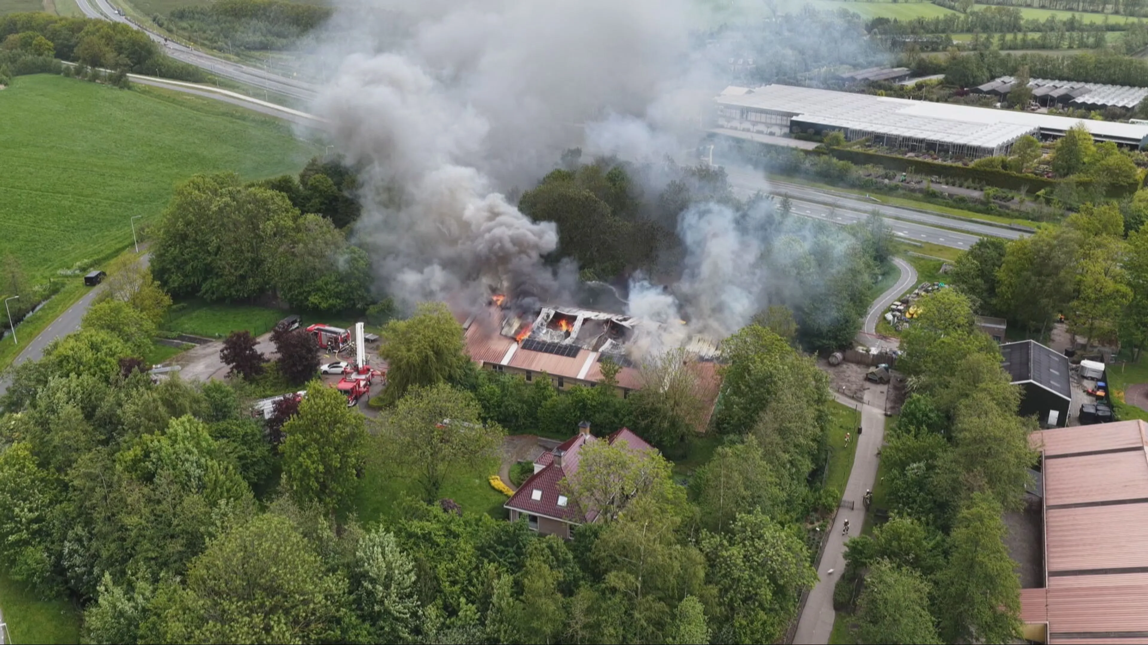 Grote brand bij dierenpark in Friesland: meerdere dieren overleden