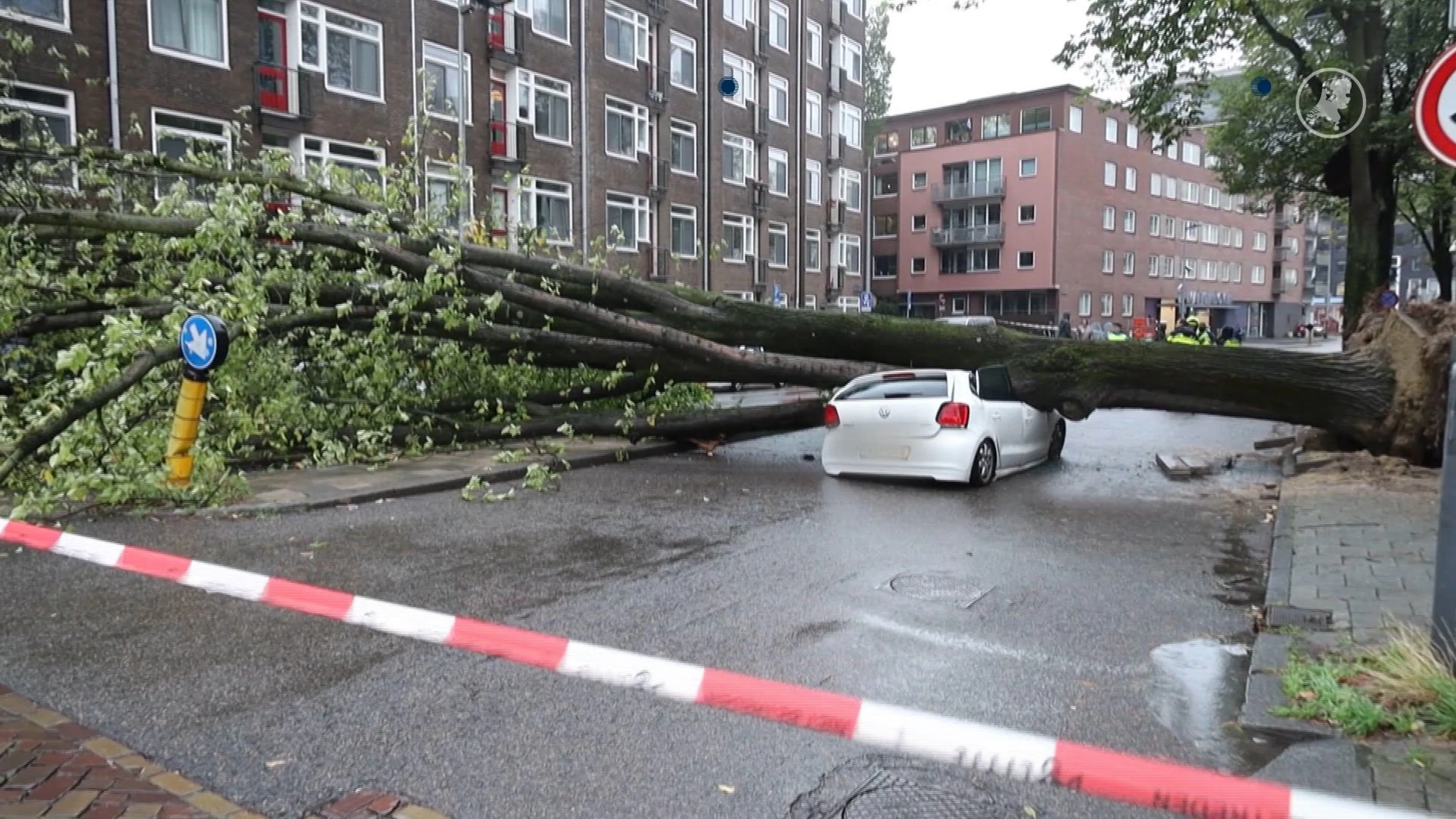 Storm Austen raast over Nederland: meerdere auto's geraakt door bomen