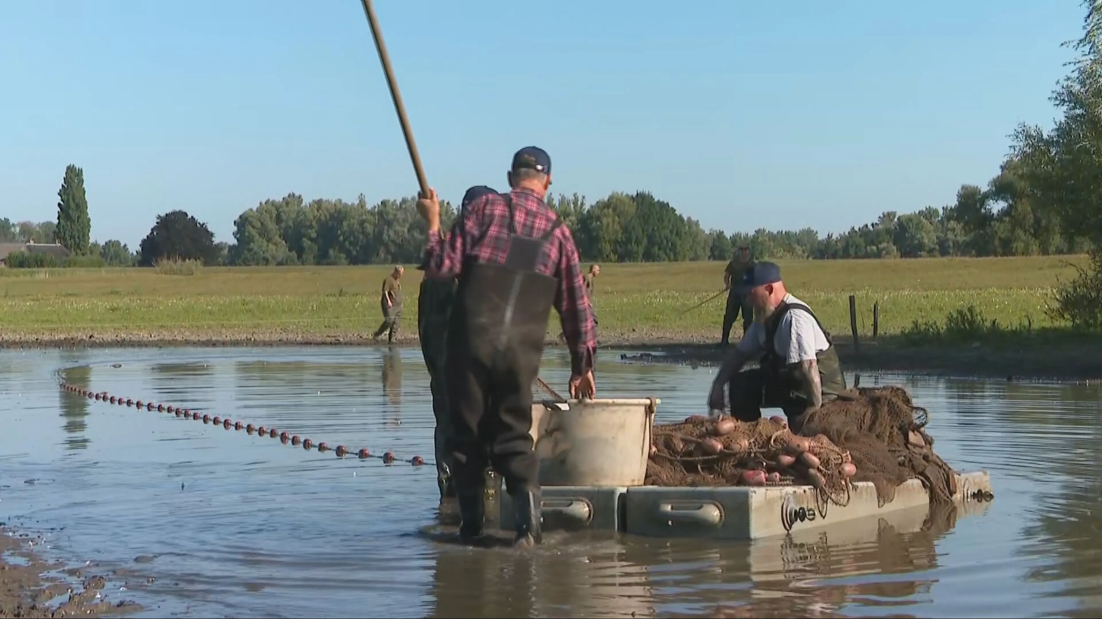 Vissen dreigen kopje onder te gaan door droogte, sportvissers in actie