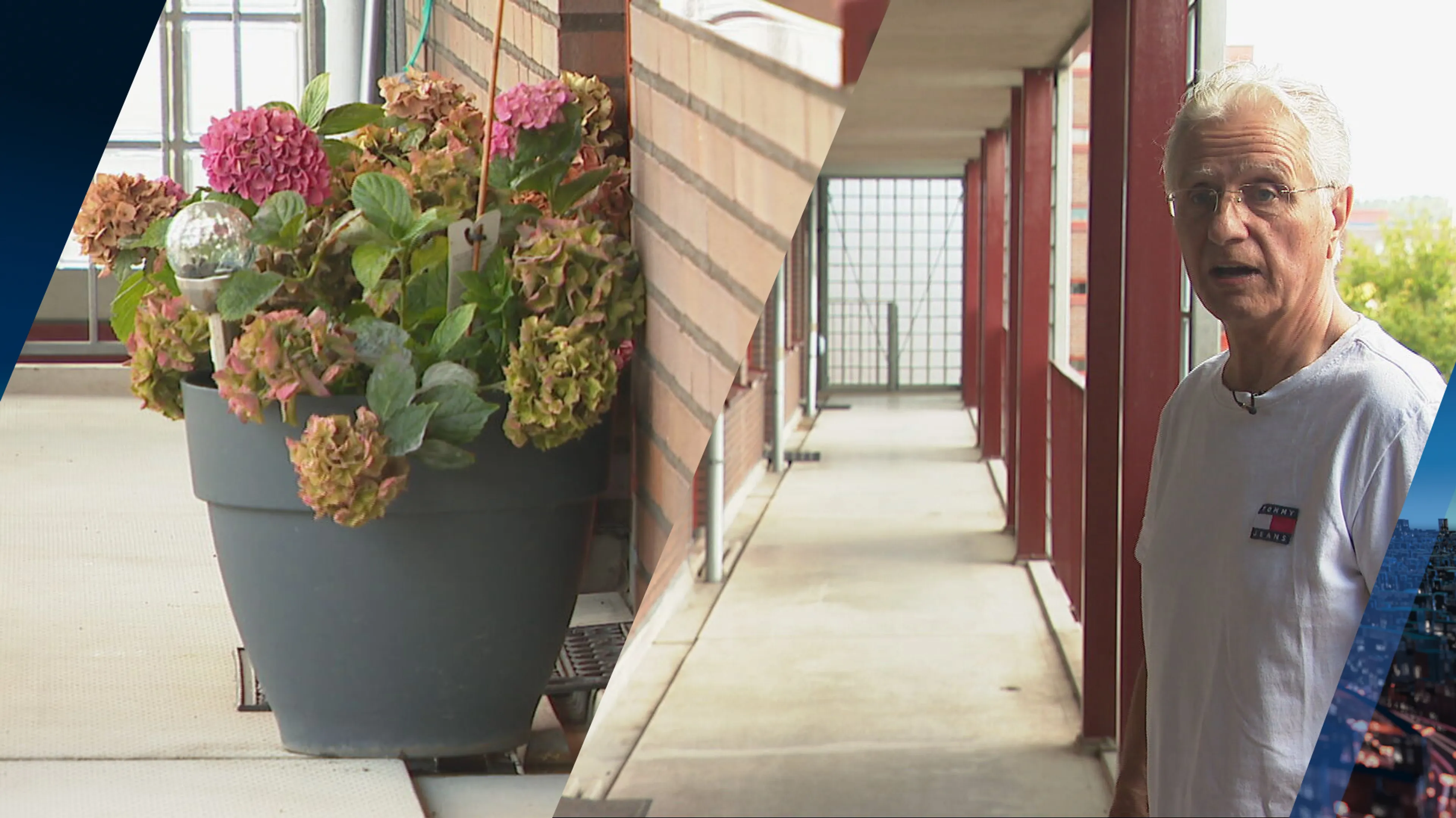 Plantjes verboden in ooit zo kleurrijke galerijflat: 'Net een gevangenis'