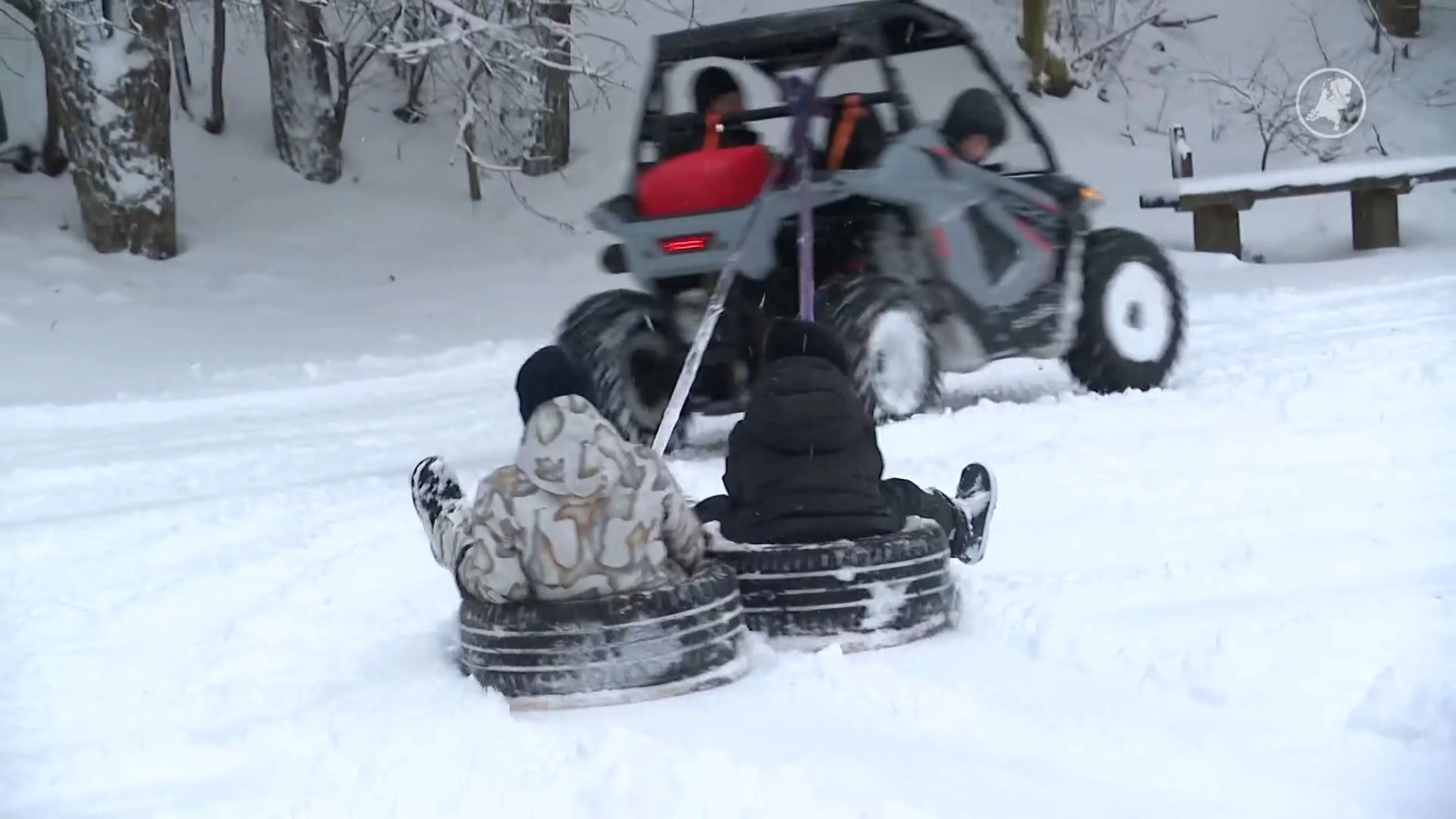 Zien: Families genieten volop van de dikke sneeuwlaag in het bos