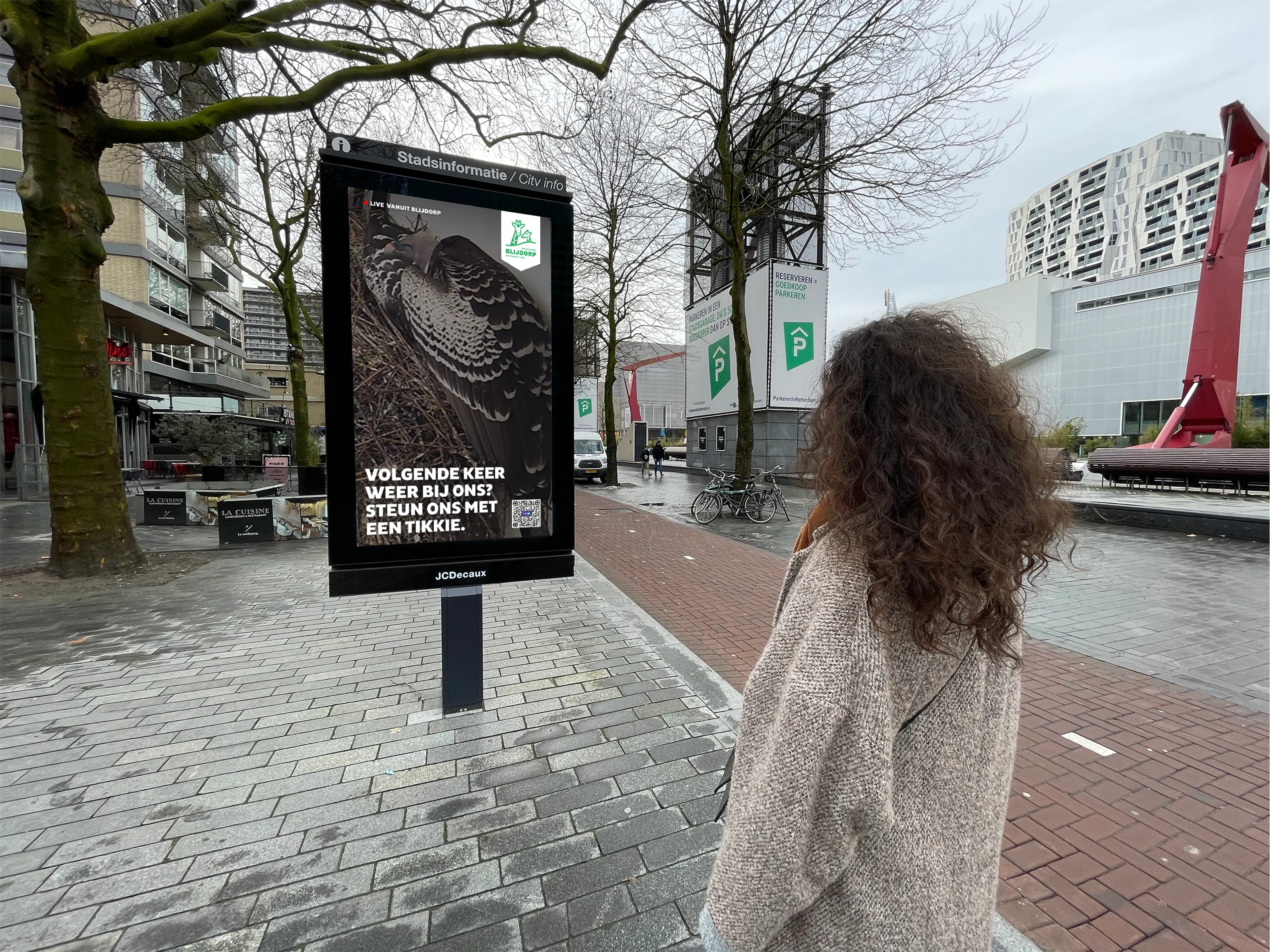 Leeuwen op de Coolsingel en apen in de Koopgoot: Blijdorpdieren via livestreams te zien in Rotterdam