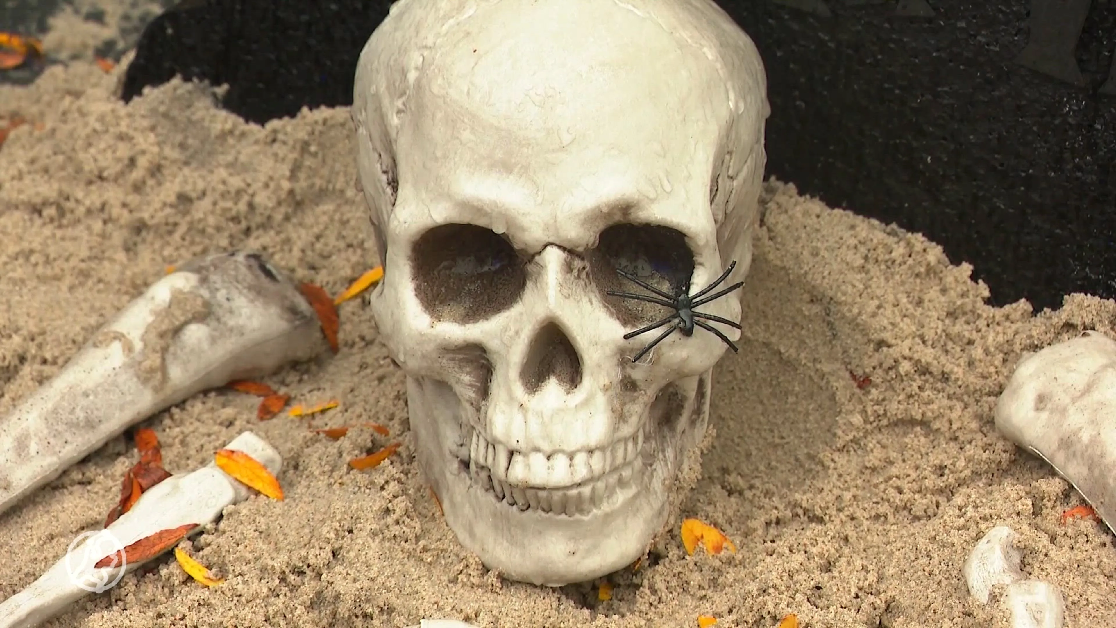 Halloween-decoraties leiden tot conflict in Ouderkerk aan de IJssel