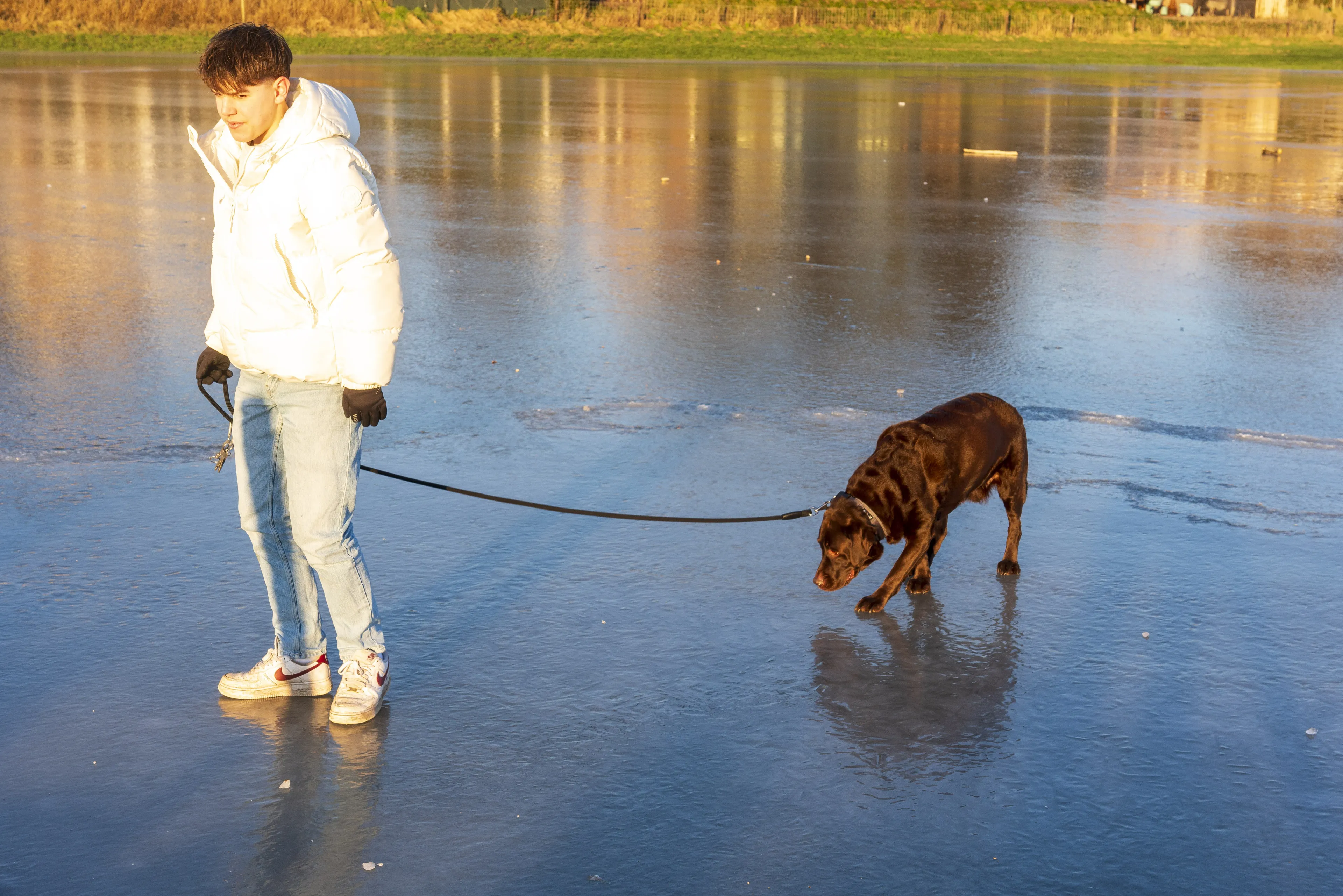 Water ijskoud en bevroren: dit moet je doen als je hond door het ijs zakt