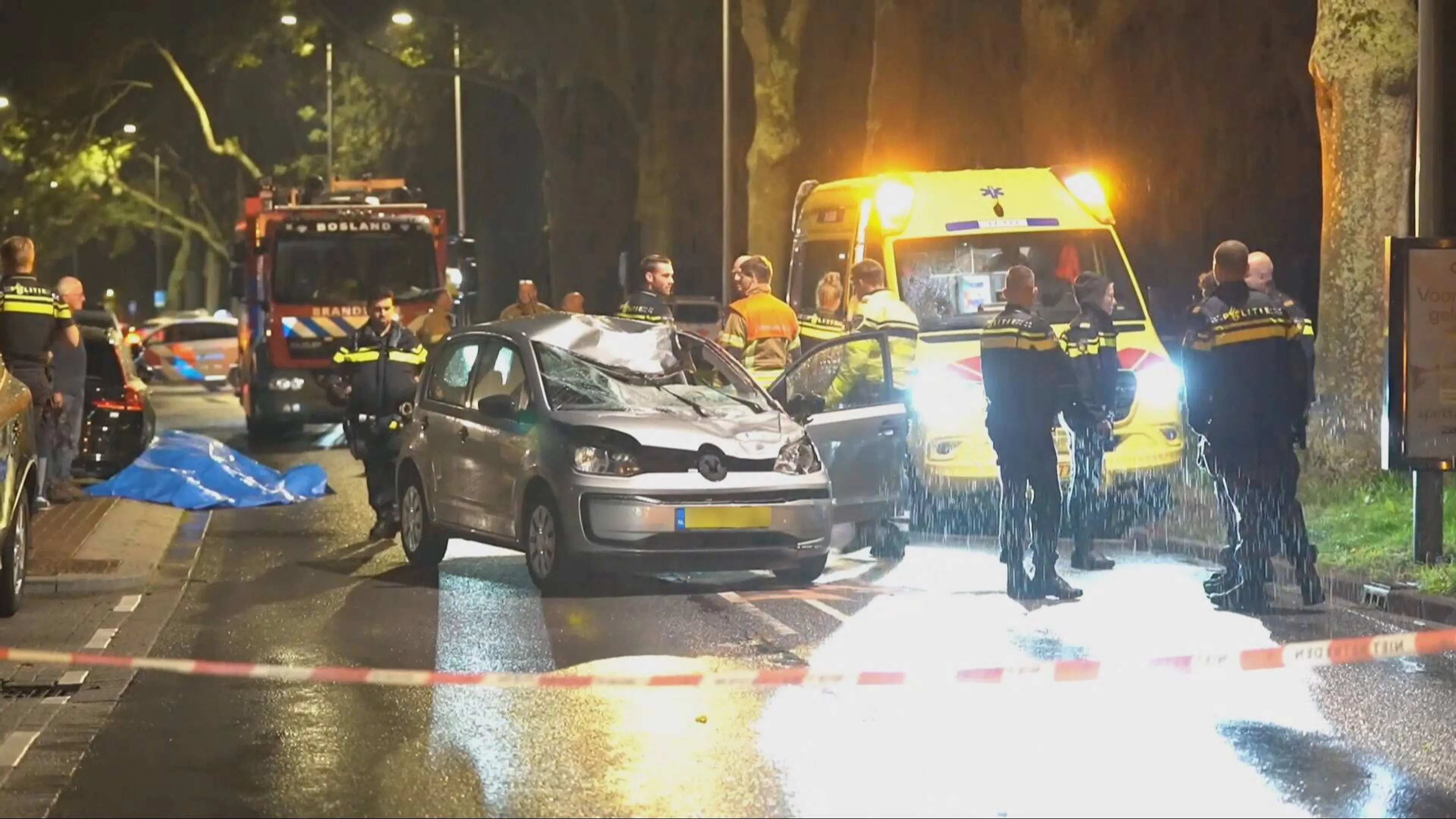 Loslopend paard overleden bij aanrijding Rotterdam, bestuurster gewond