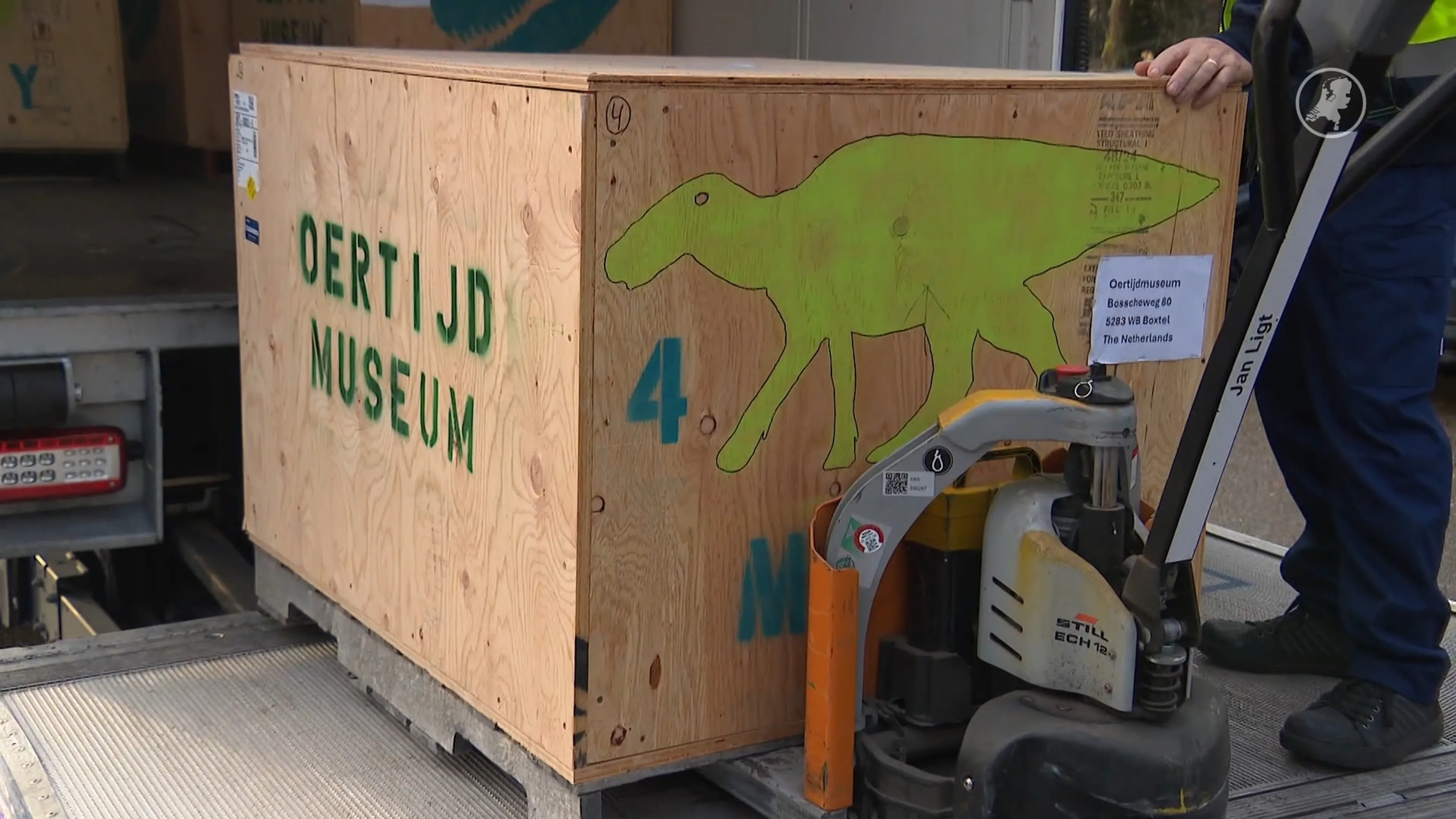 Uniek dinosaurus-skelet Monty aangekomen in Boxtel