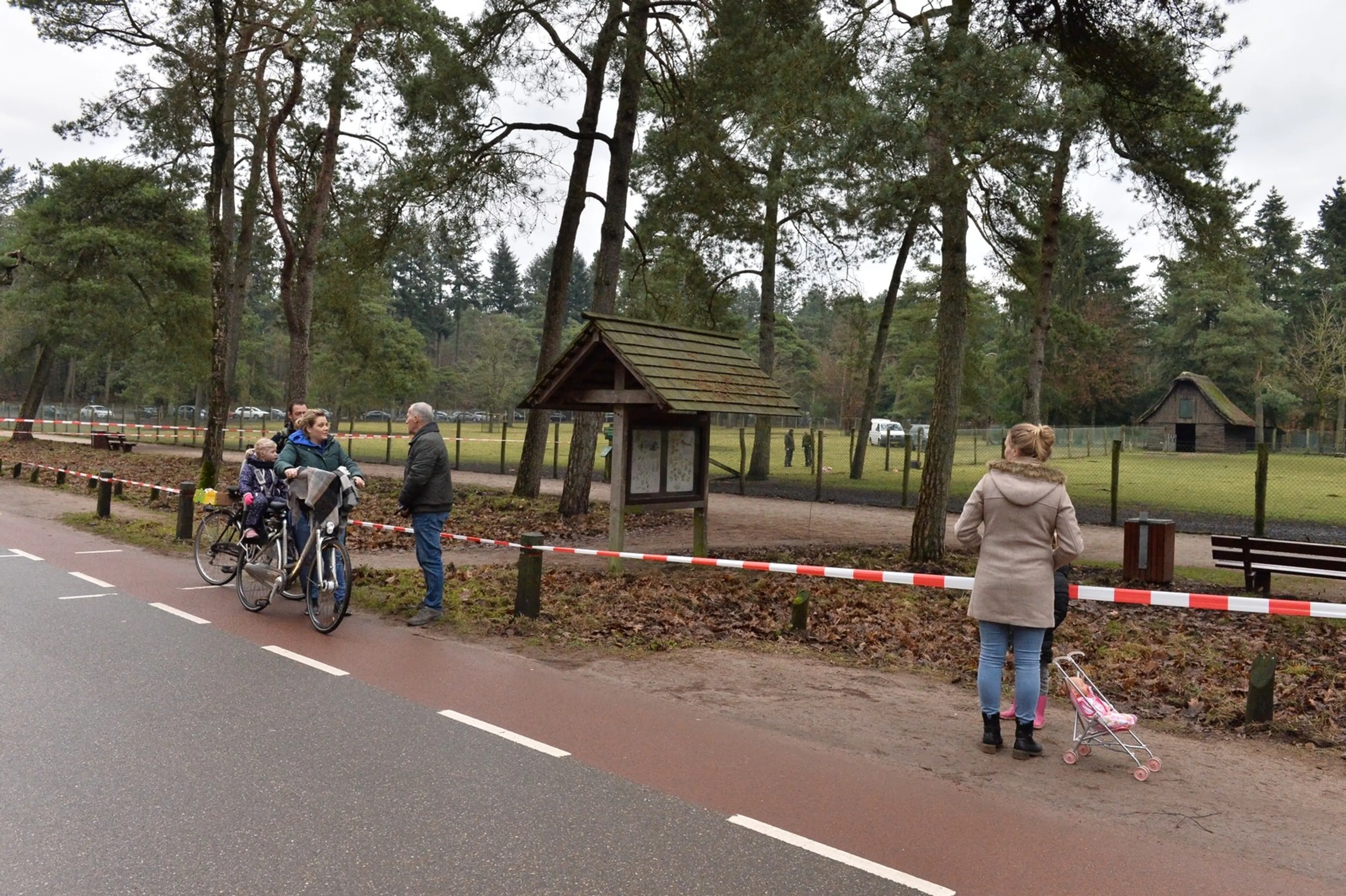 Damhert gedood in Epe, ingewanden achtergelaten