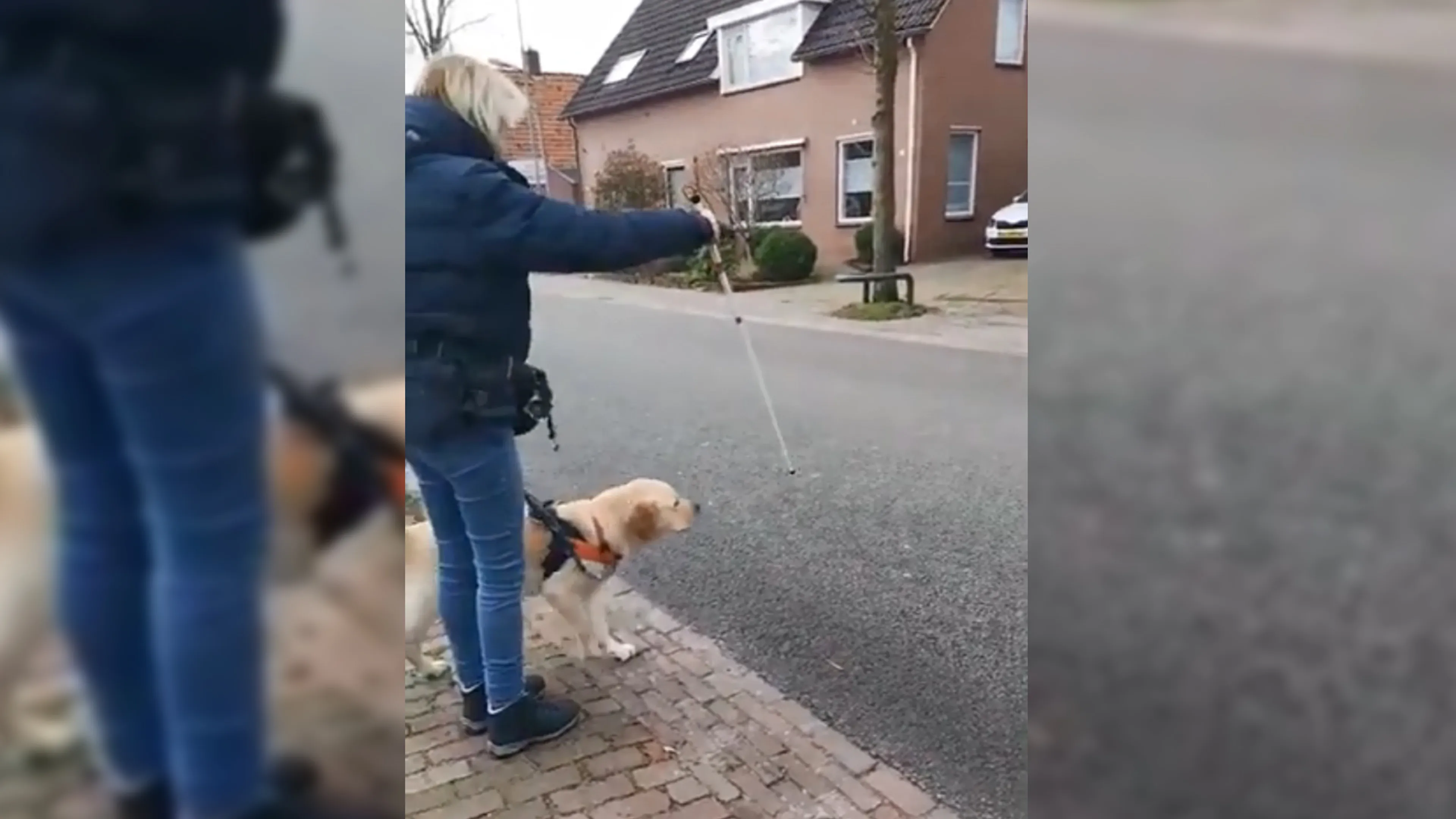 Geleidehondentrainer Marlia maakt veel reacties los met filmpje, niemand laat haar oversteken