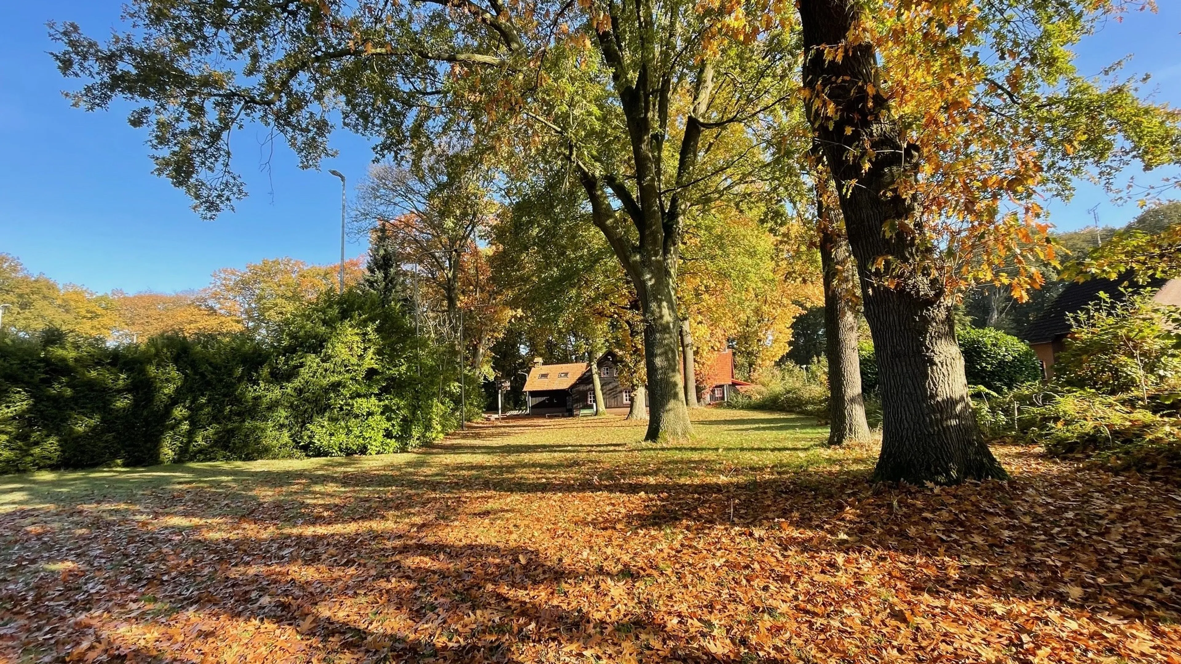 Zacht novemberweer houdt aan met lokaal 18 graden