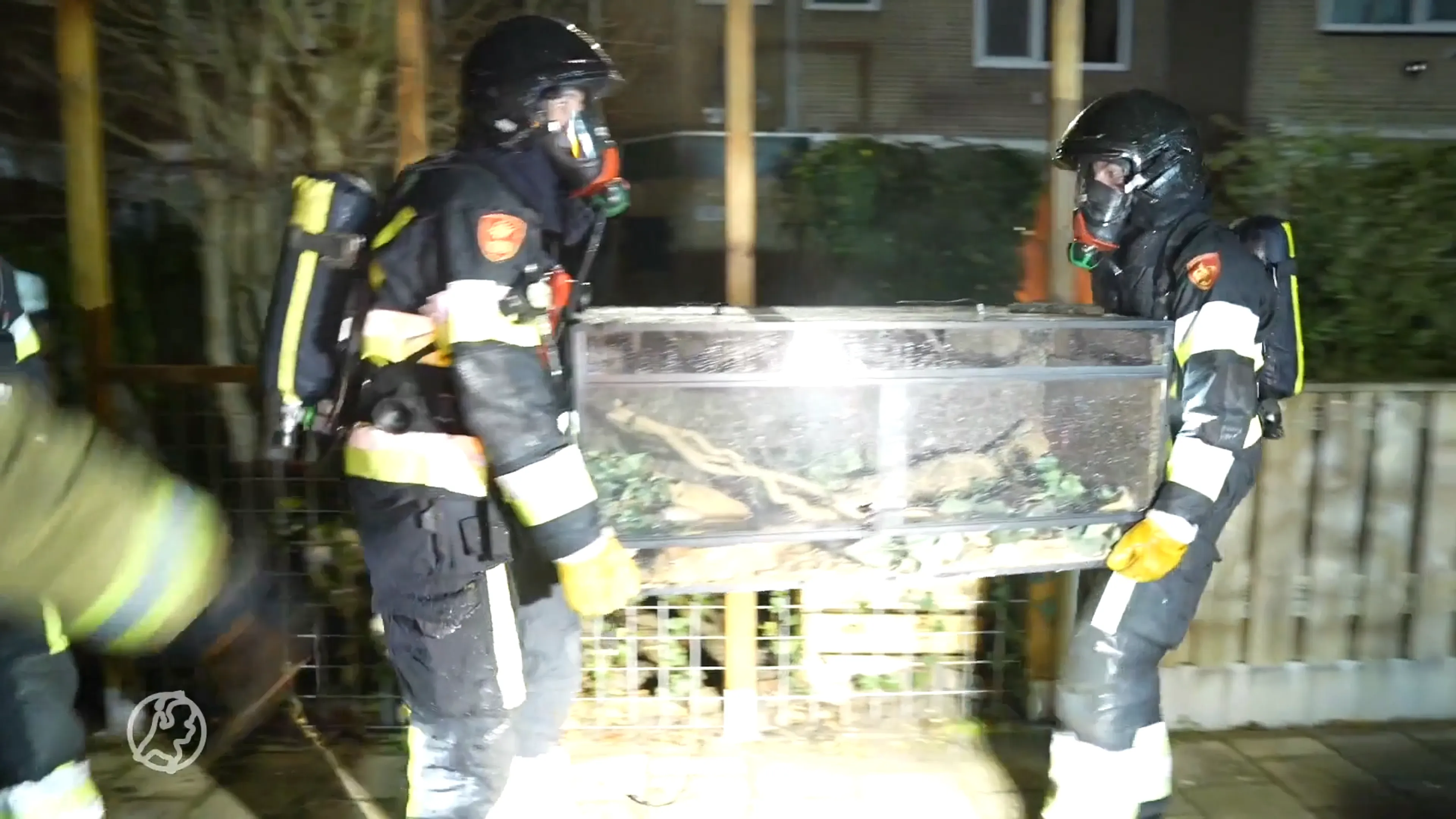 Slangen, honden, katten en hagedis gered bij brand Spijkenisse, ook twee gewonden