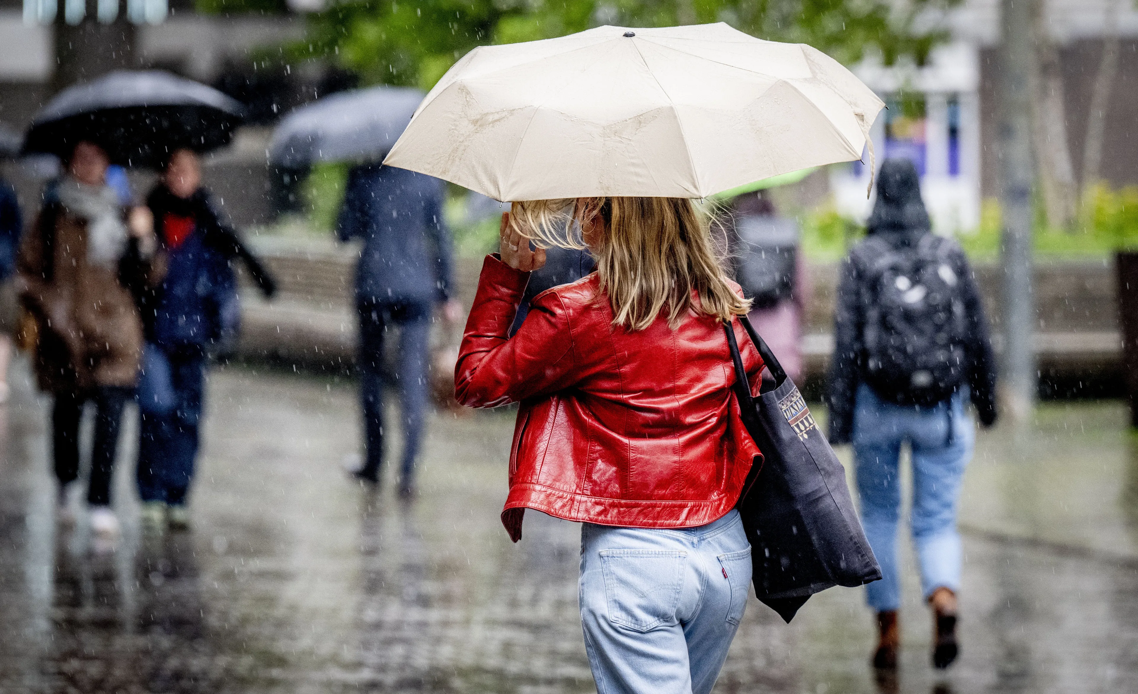 Koud, nat en harde wind: lenteweer krijgt flinke terugval