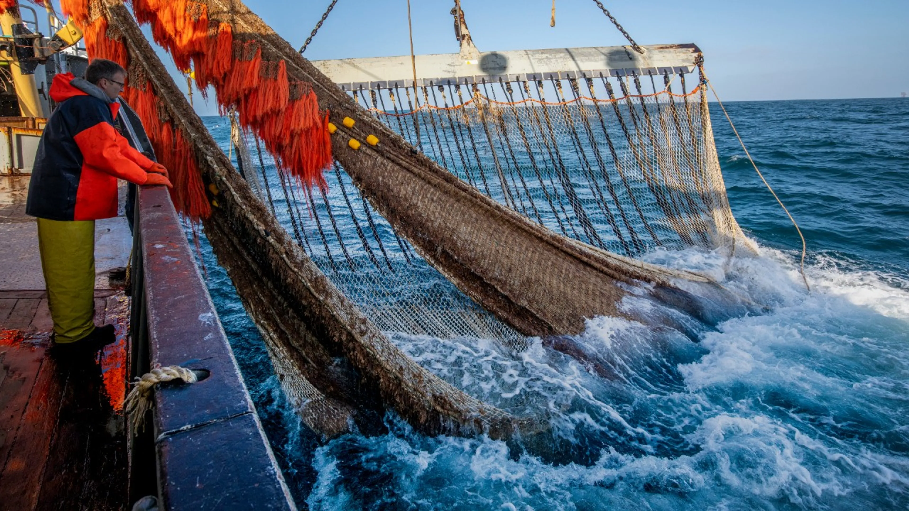 Nieuwe Nederlandse proef met pulsvisserij moet EU-landen overtuigen