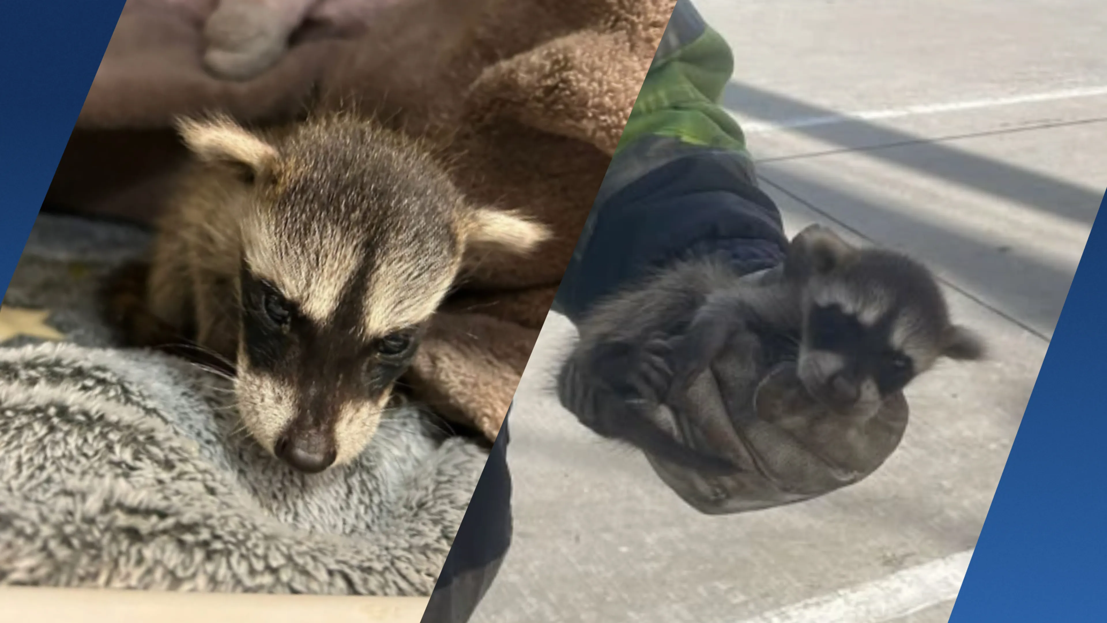 Babywasberen gered uit scheepsruim op Maasvlakte, één overleden