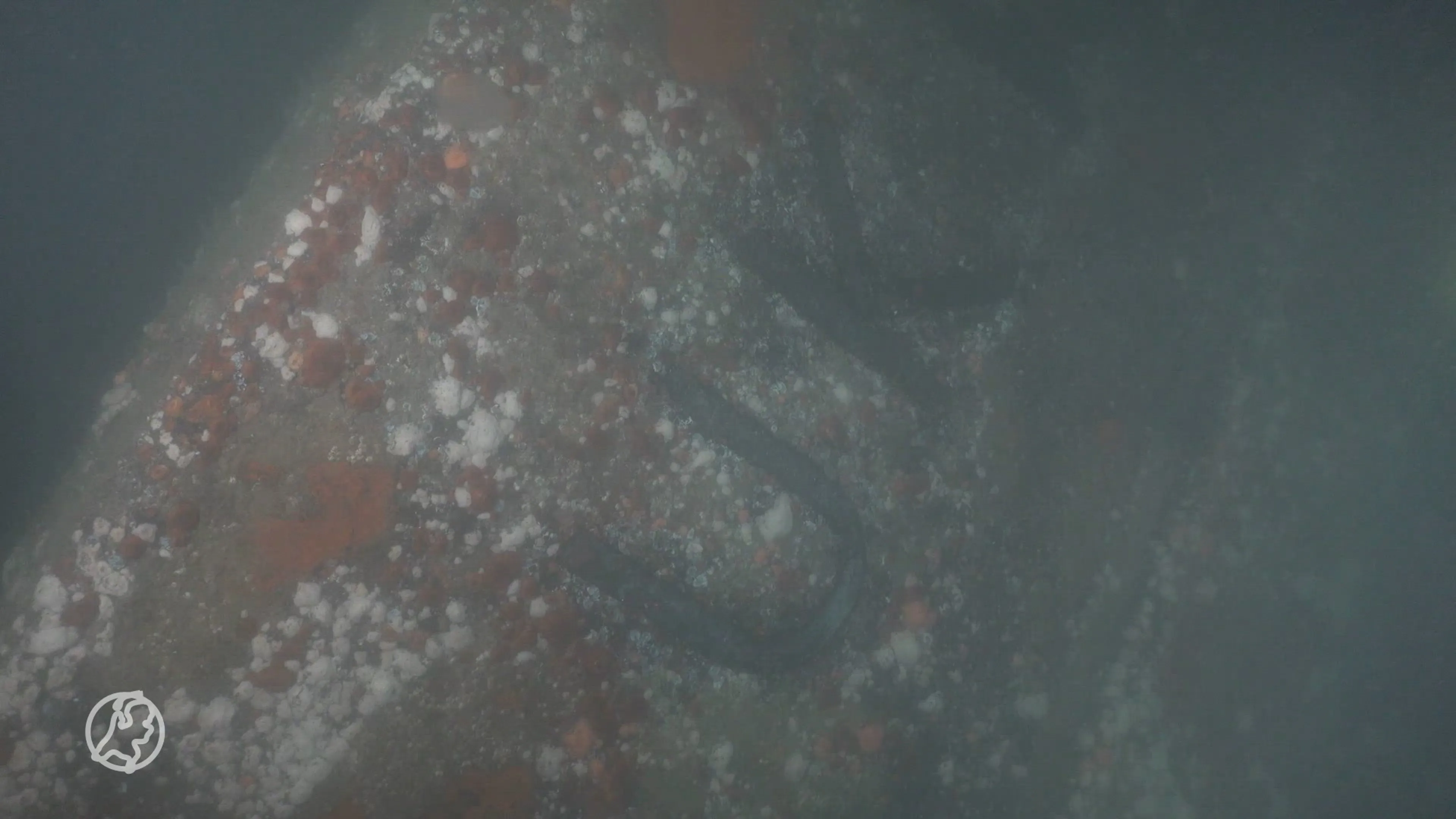 Wrak van Urker visserschip uit 1967 gevonden in Noordzee