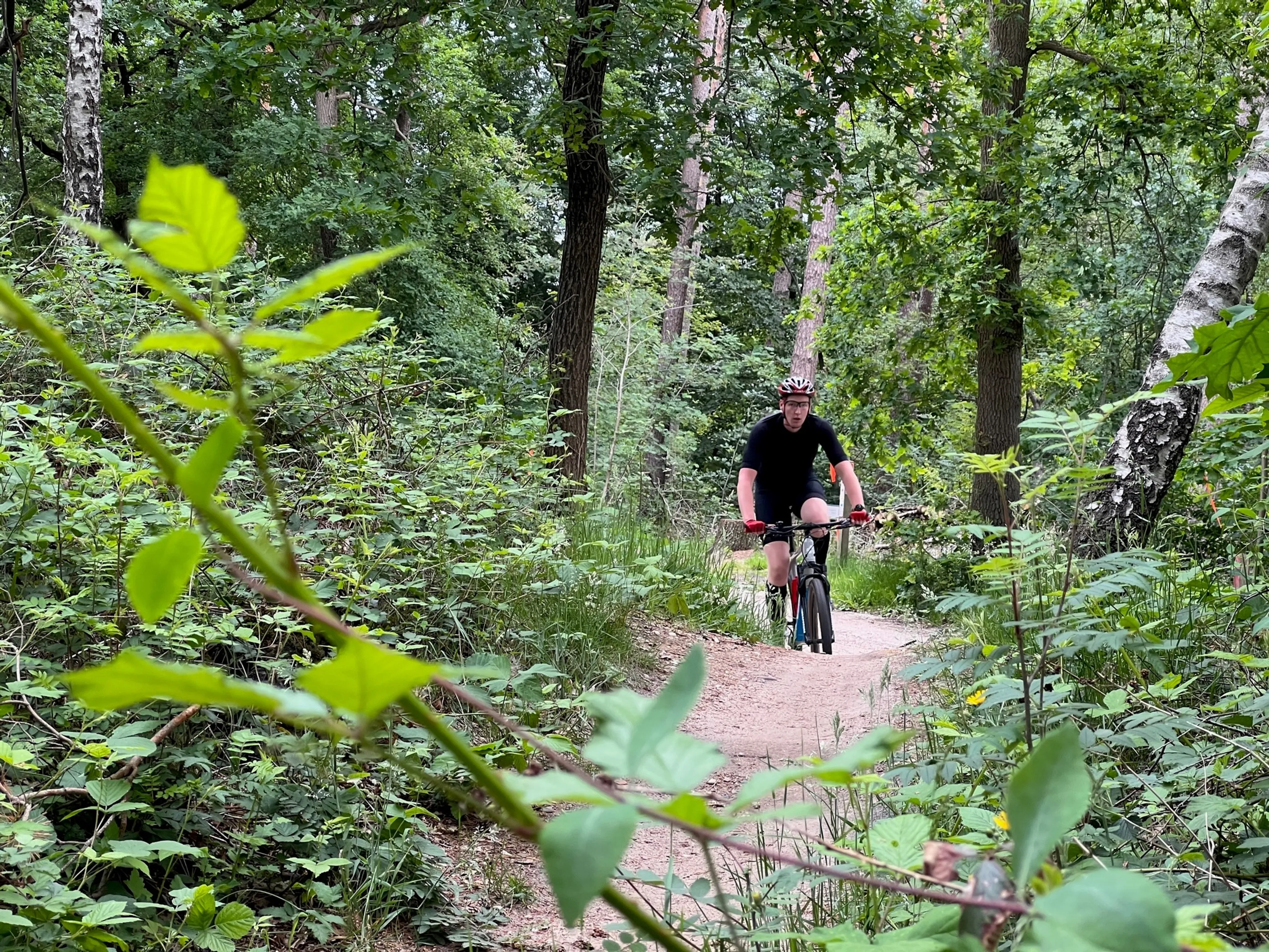 Hagedissen zetten streep door mountainbikeritjes op Sallandse Heuvelrug: 'Dit is een hetze!'