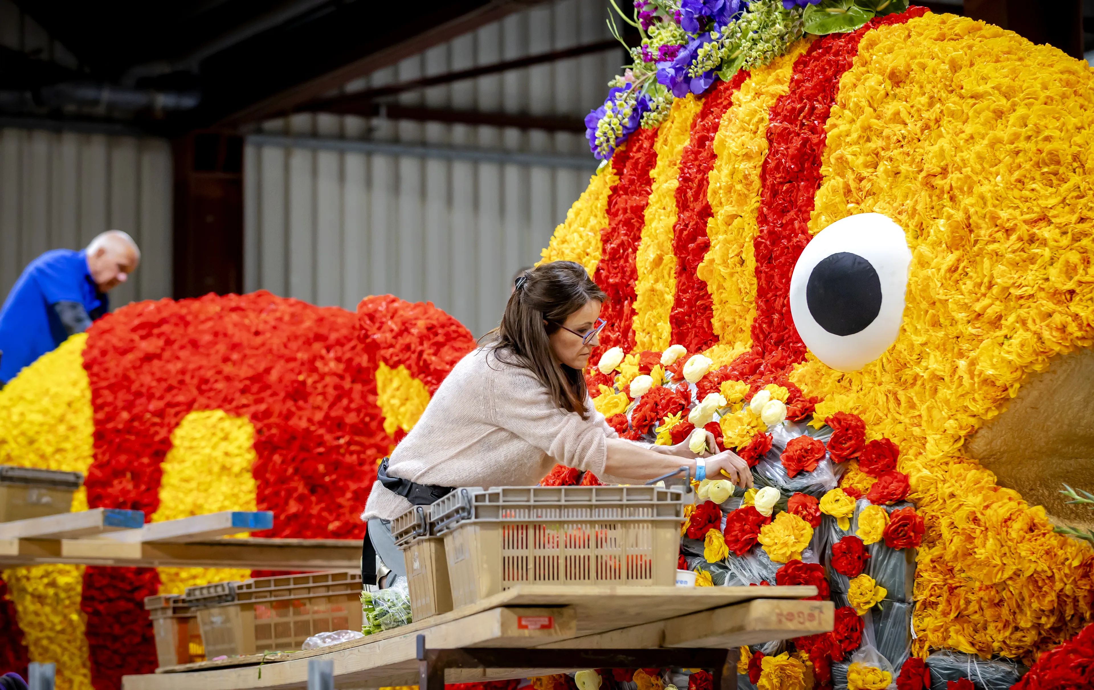 Bloemencorso rijdt na twee jaar weer door de Bollenstreek