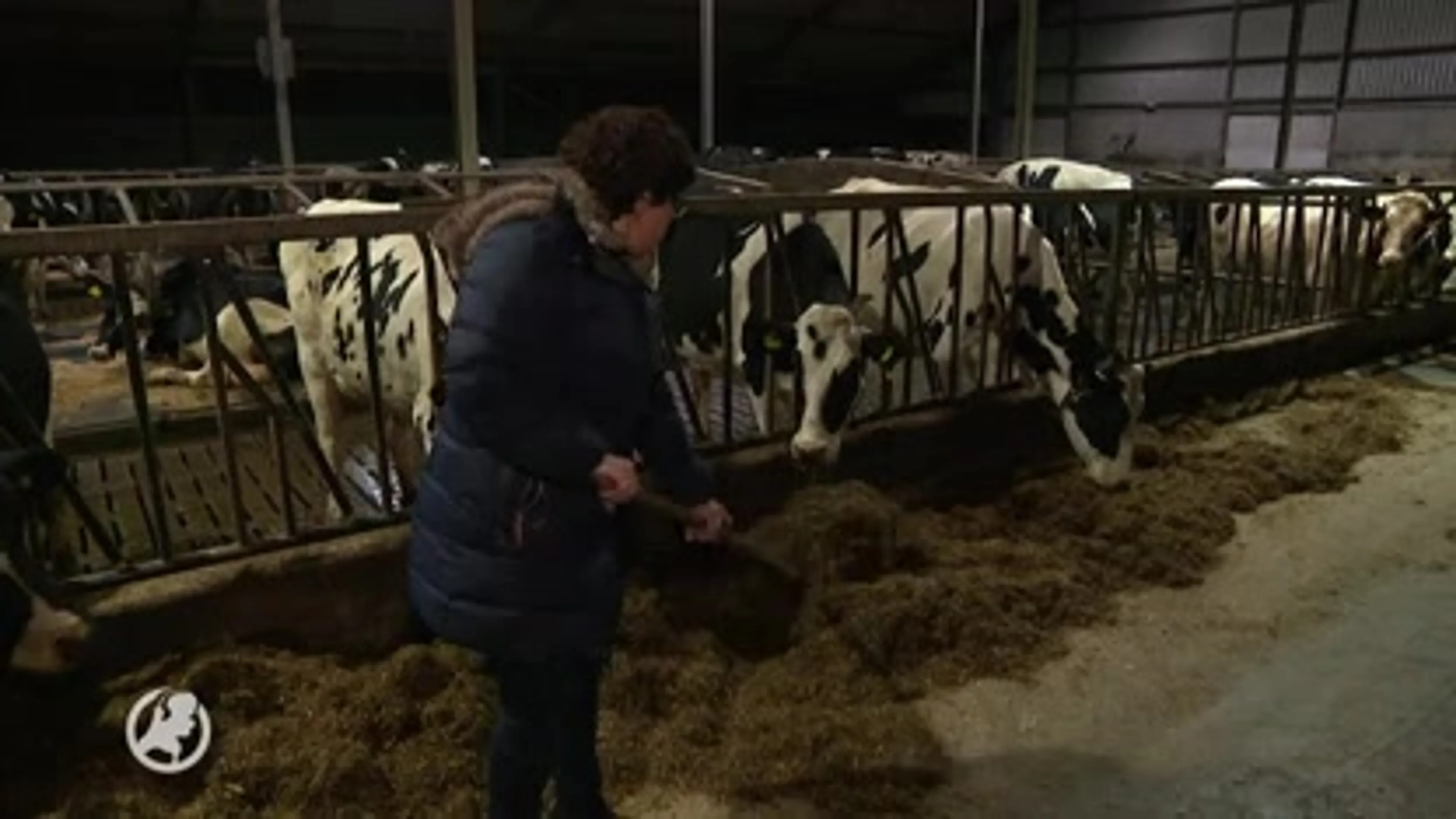 Kans weer groter dat boerenpartij meedoet aan Kamerverkiezing