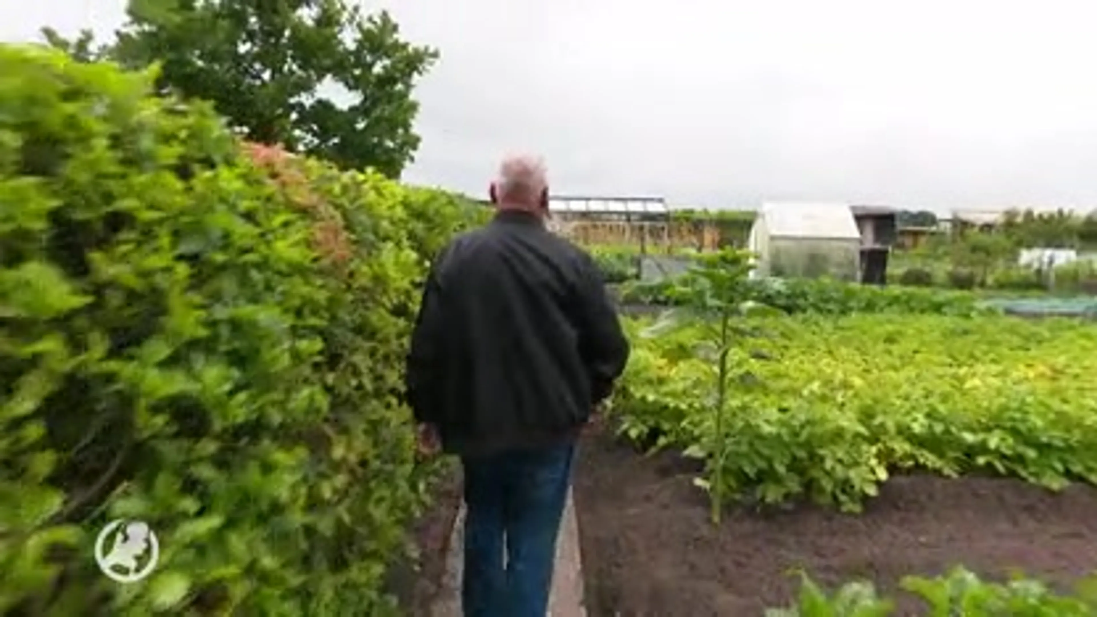 Tuincomplex Hoop der Toekomst vernield