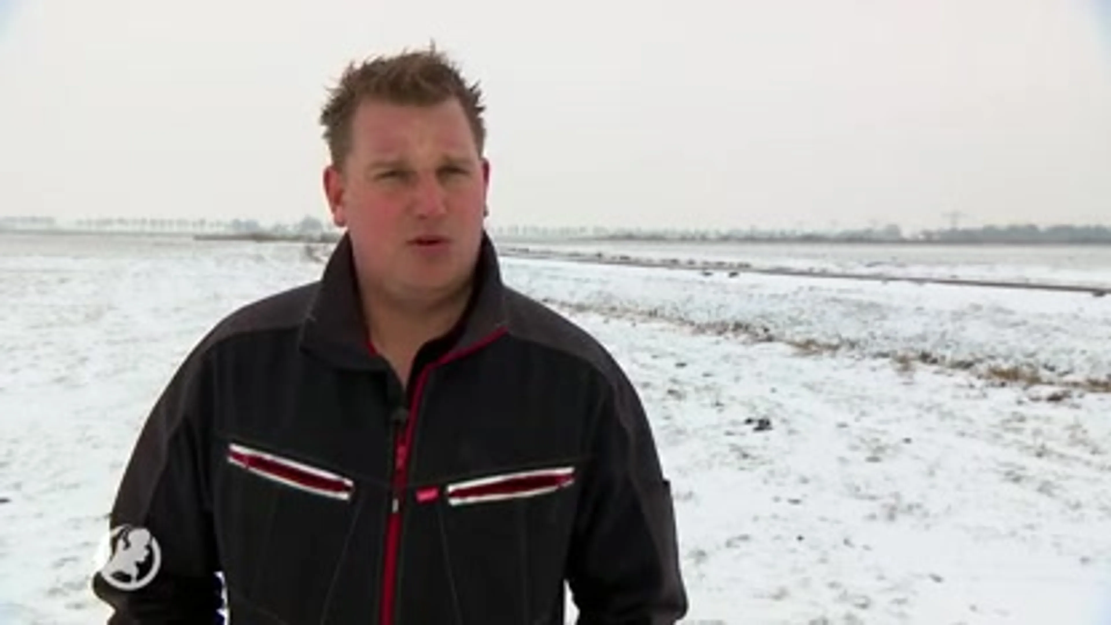 Onverlaten stelen 100 drachtige schapen uit weiland