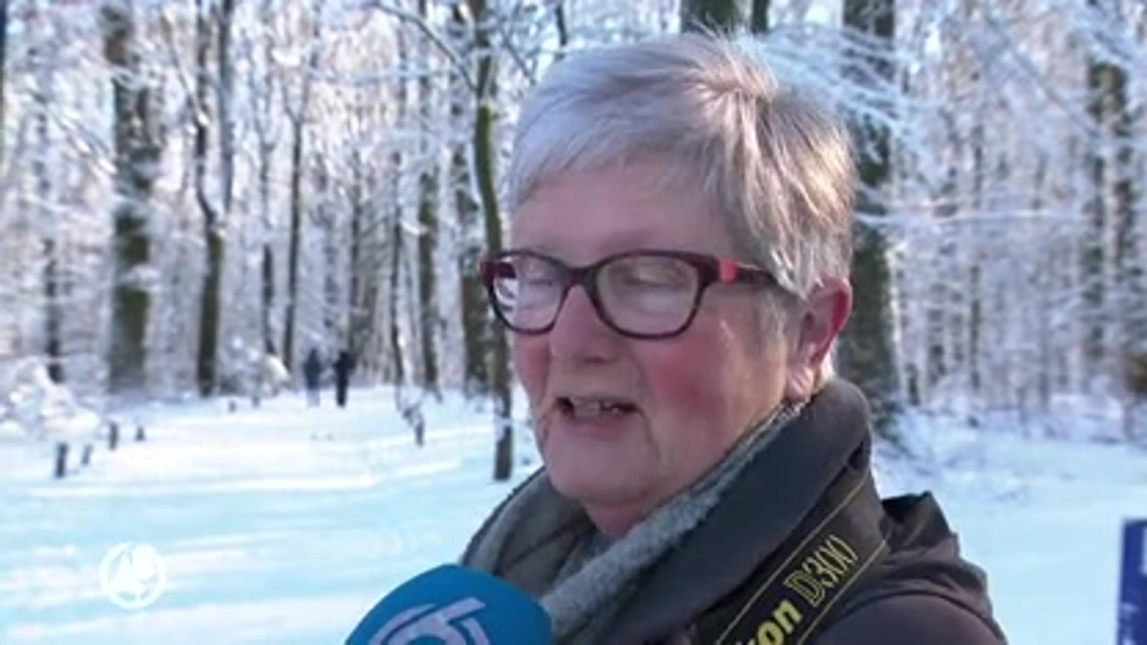 Sleeën, schaatsen en wandelen: volop winterpret in Limburgse Vijlen