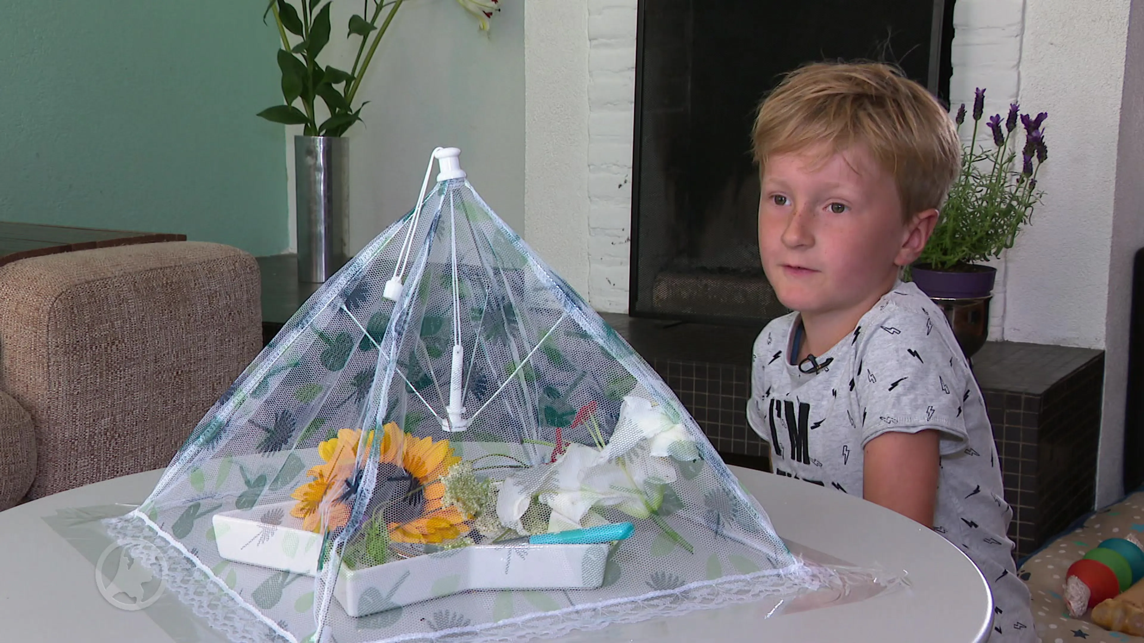 Brent (7) ontfermt zich over gewonde hommel